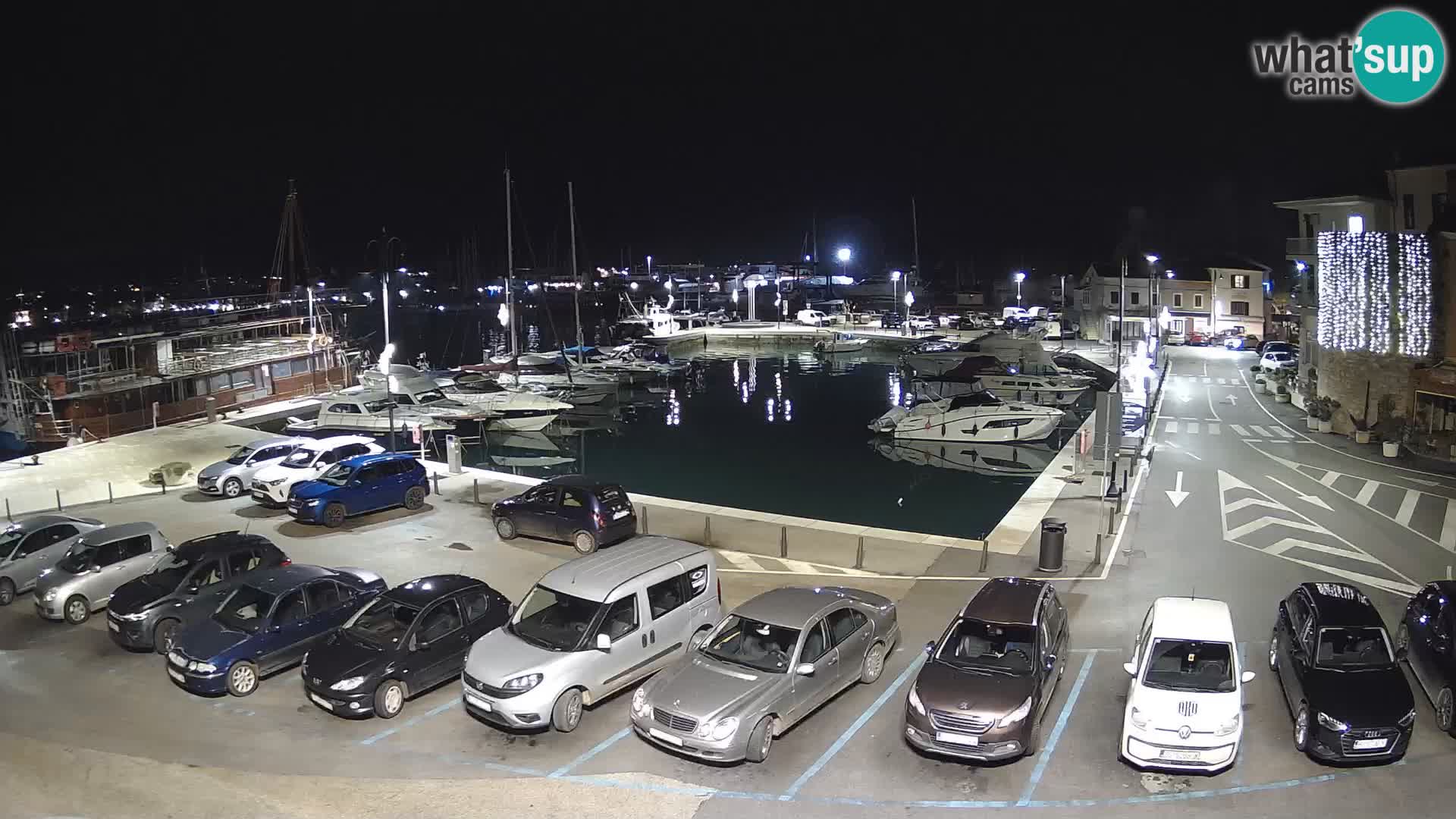 Novigrad | Porporela marina