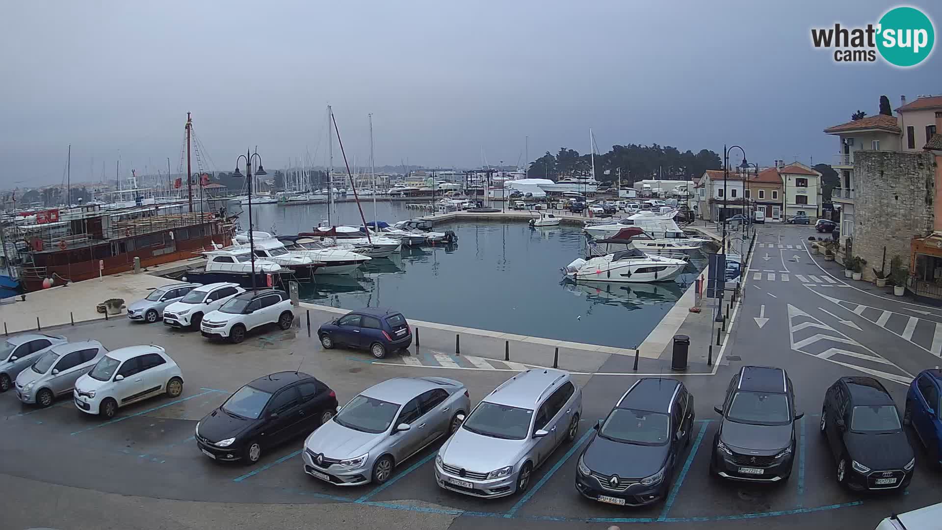 Novigrad | Porporela marina