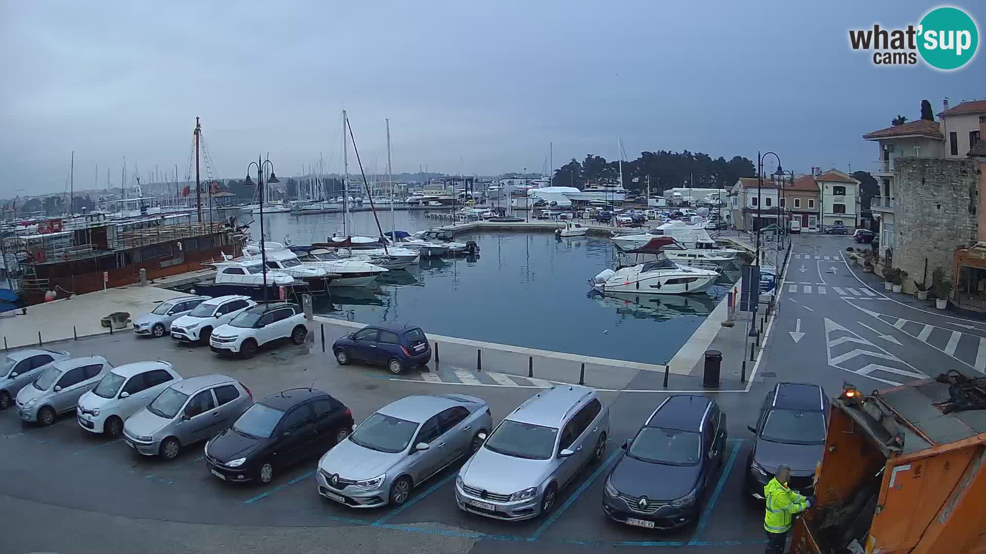 Novigrad | Porporela marina