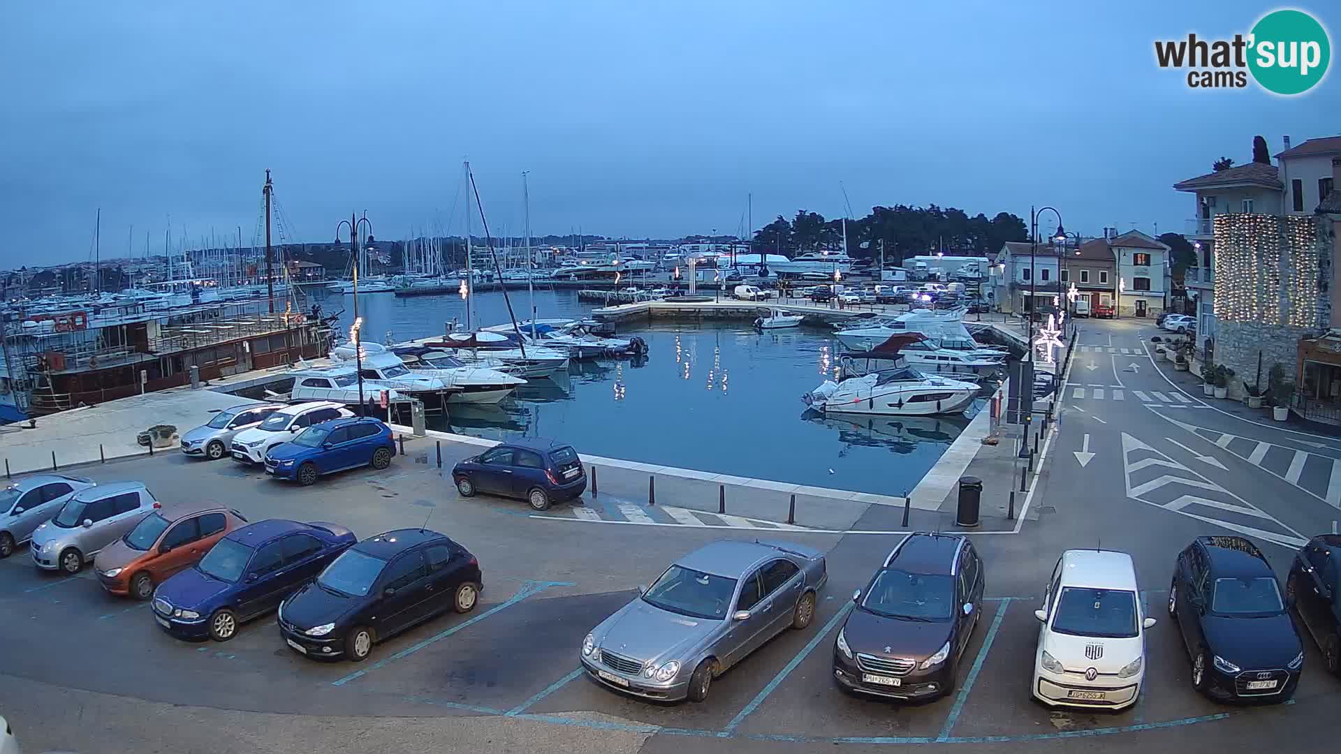 Novigrad | Porporela marina