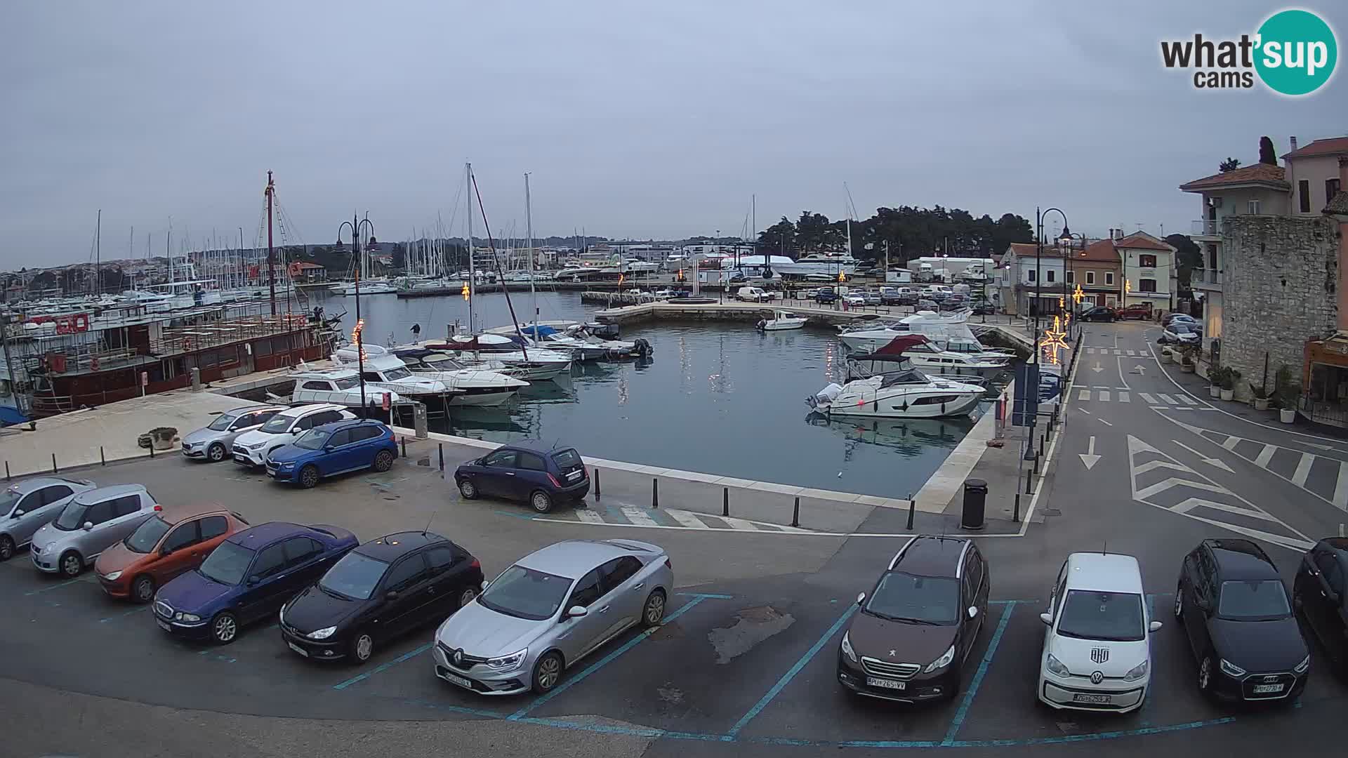 Novigrad | Porporela marina