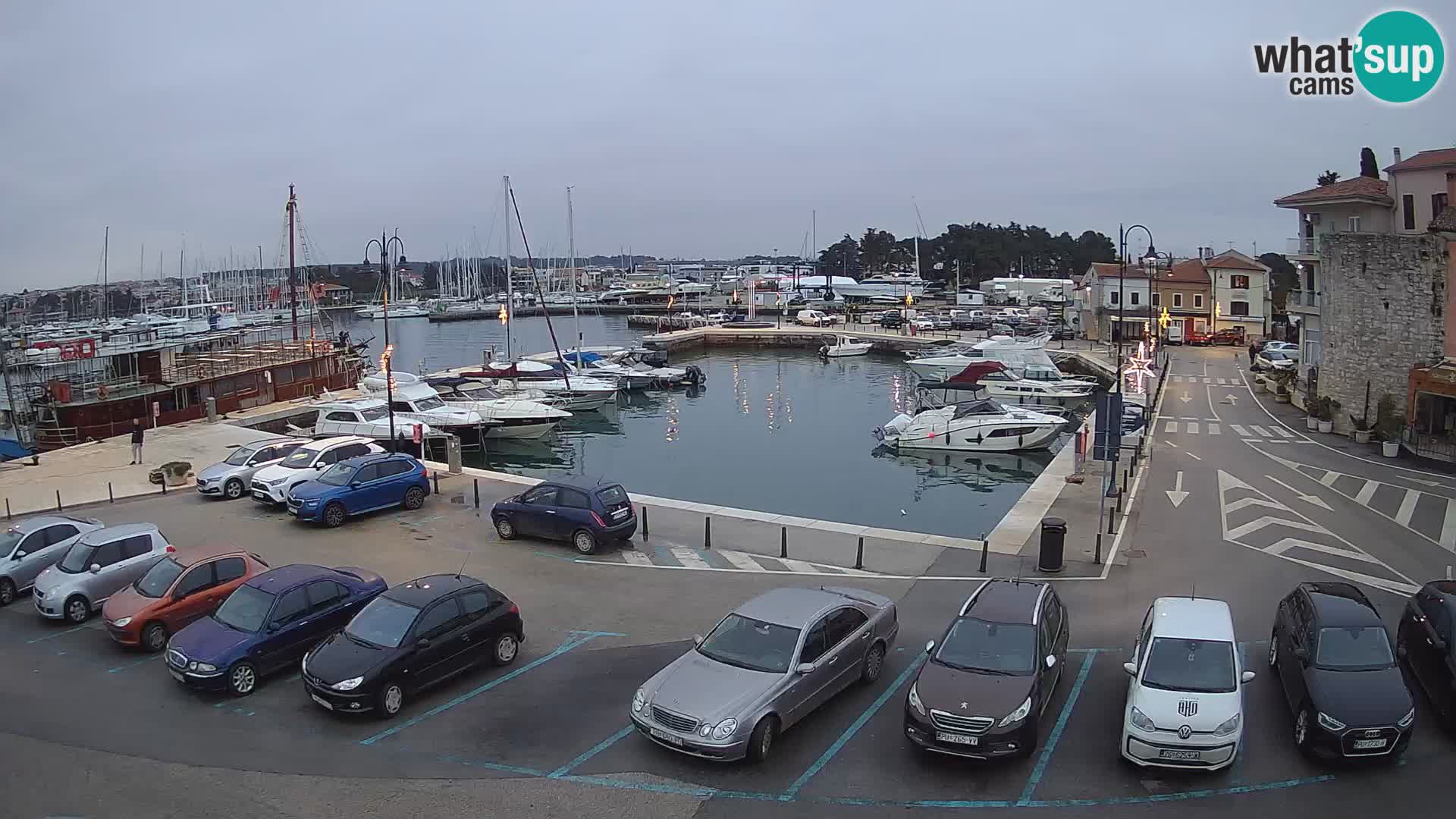 Novigrad | Porporela marina