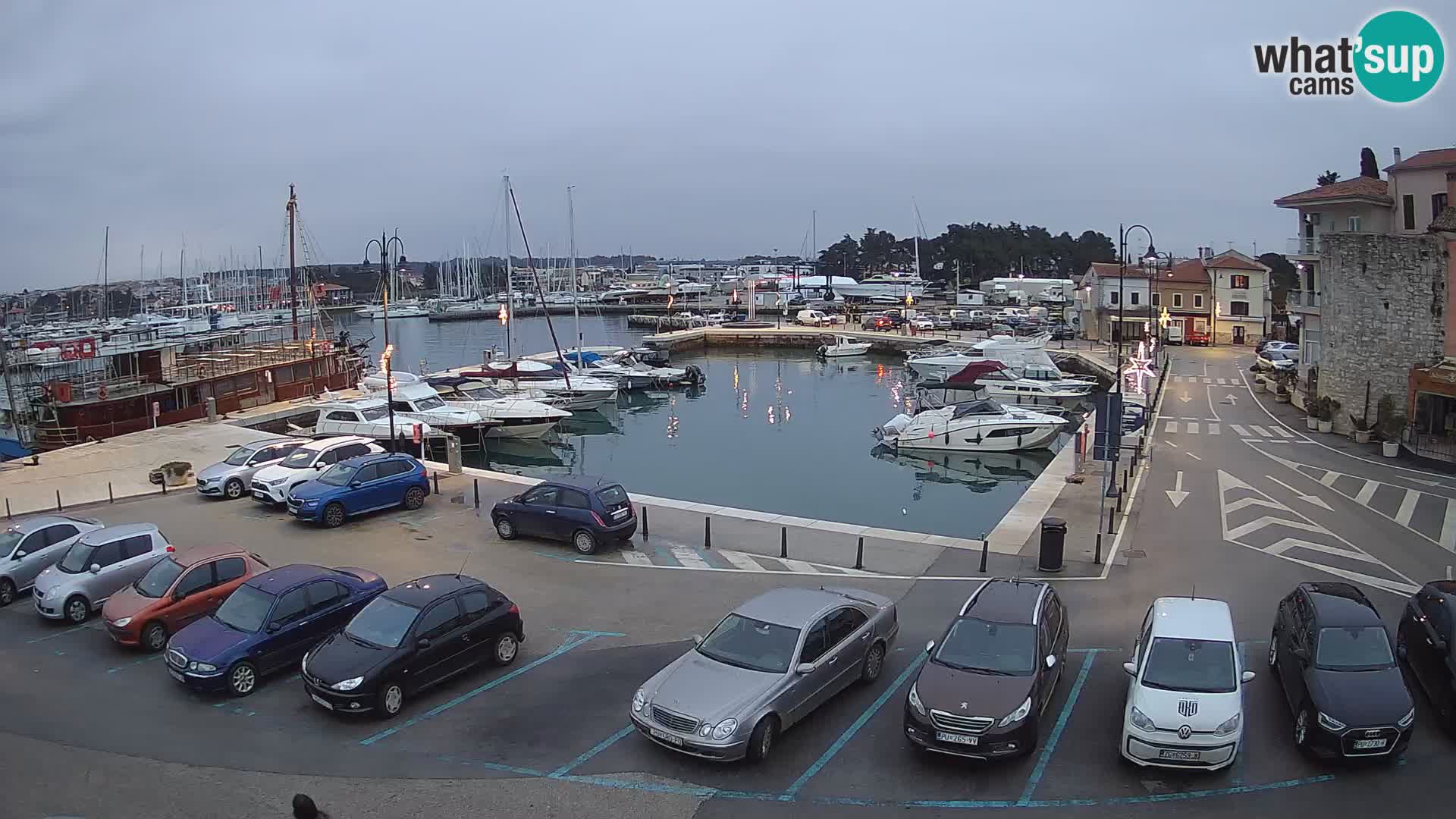 Novigrad | Porporela marina