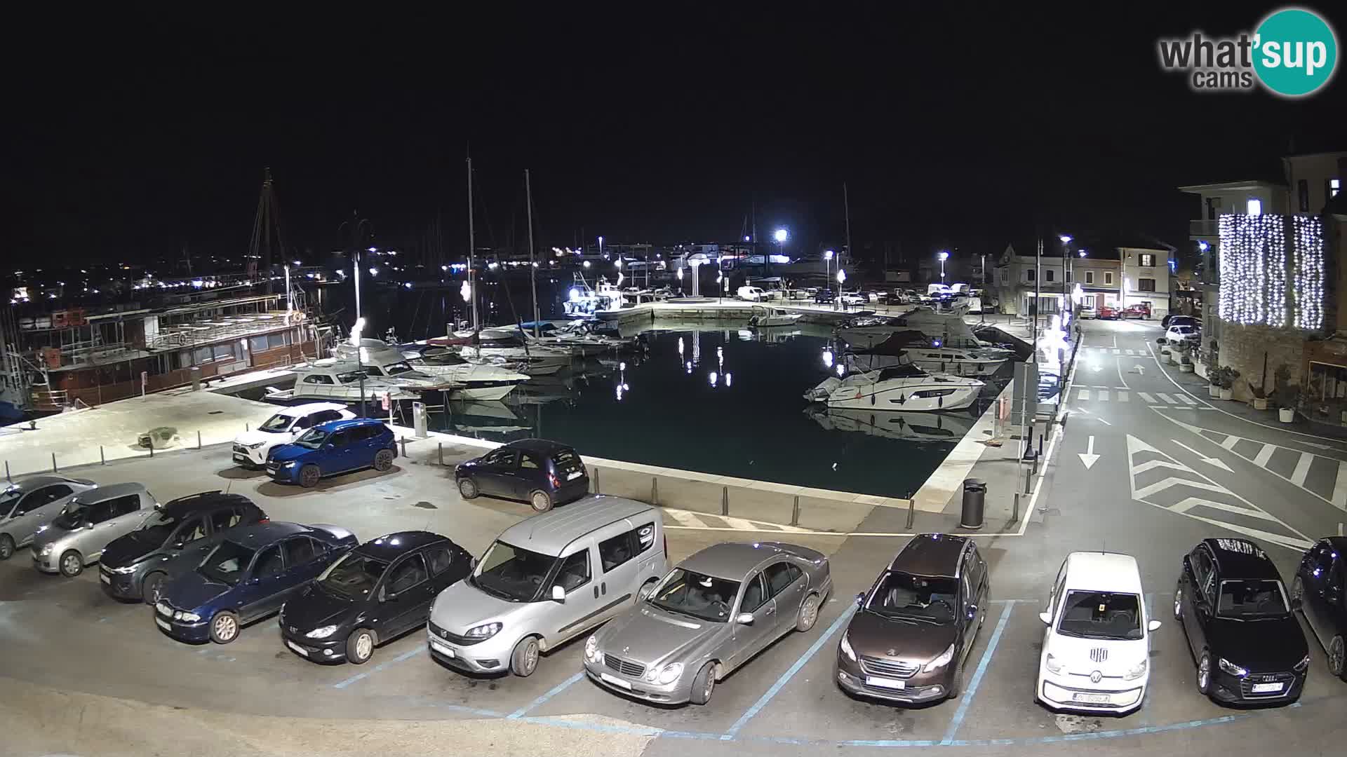 Novigrad | Porporela marina