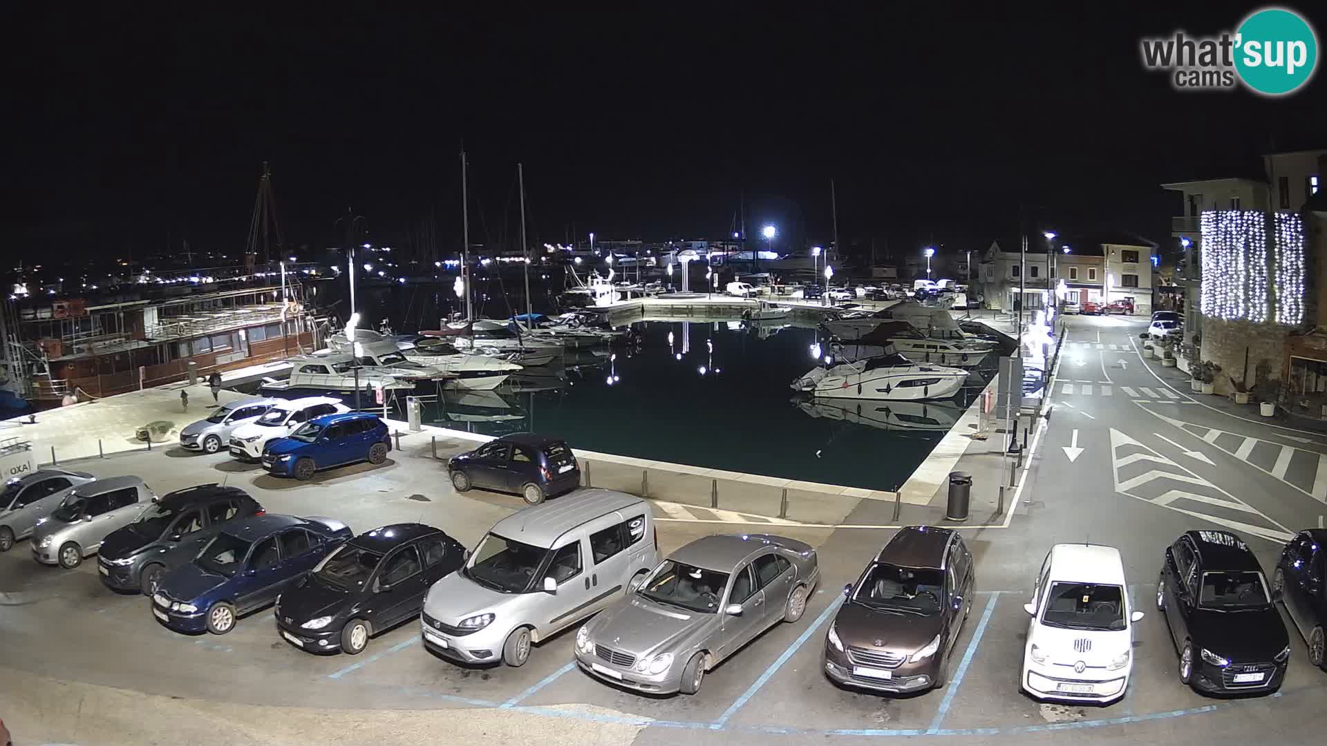 Novigrad | Porporela marina