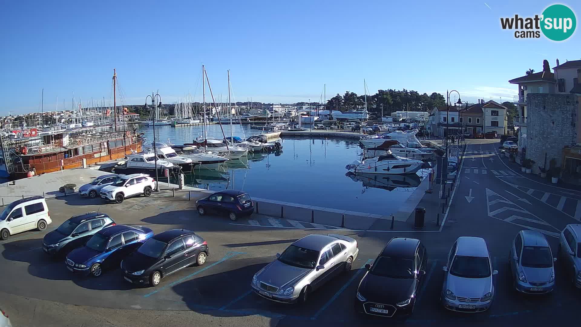 Novigrad | Porporela marina