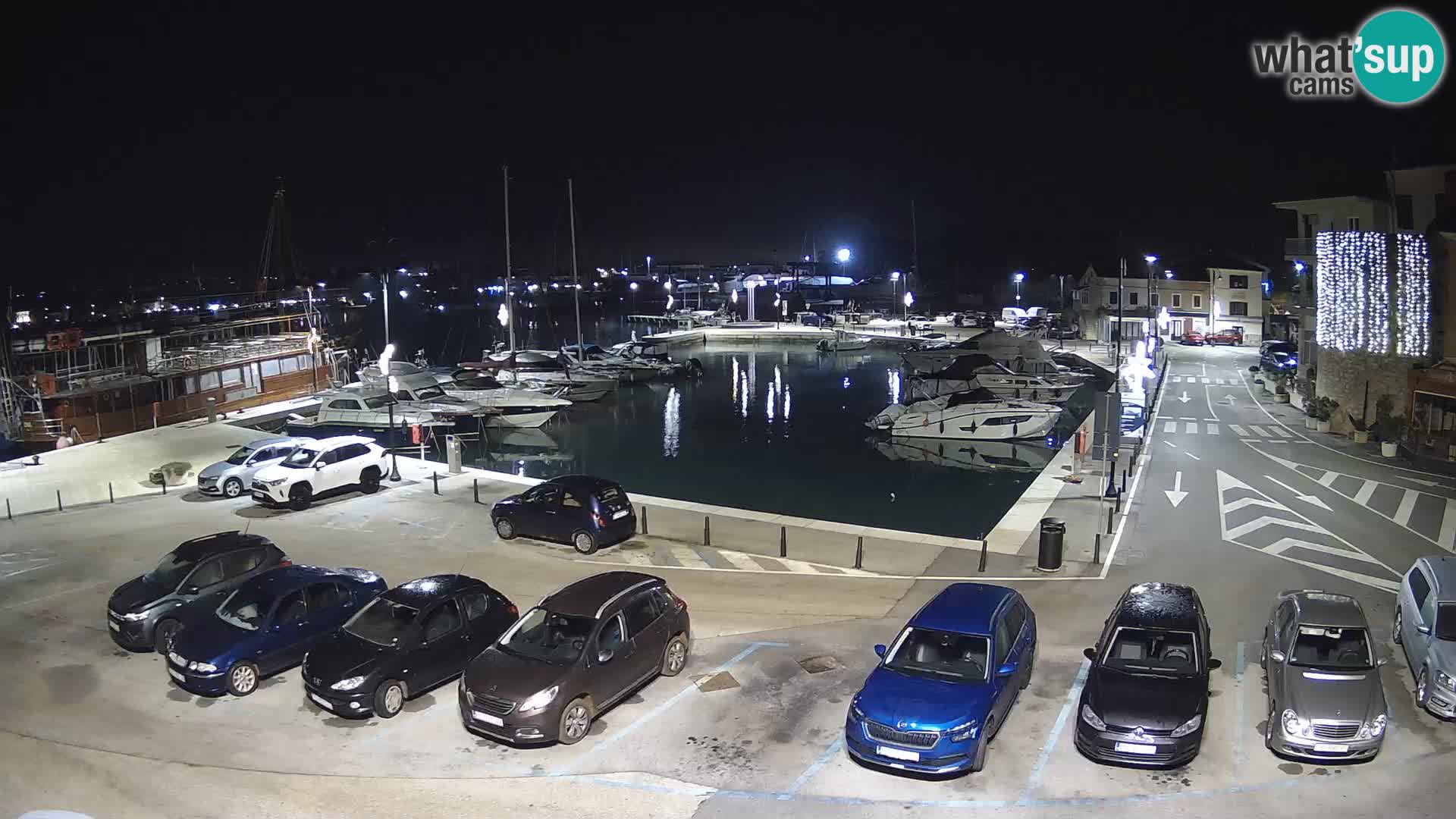 Novigrad | Porporela marina