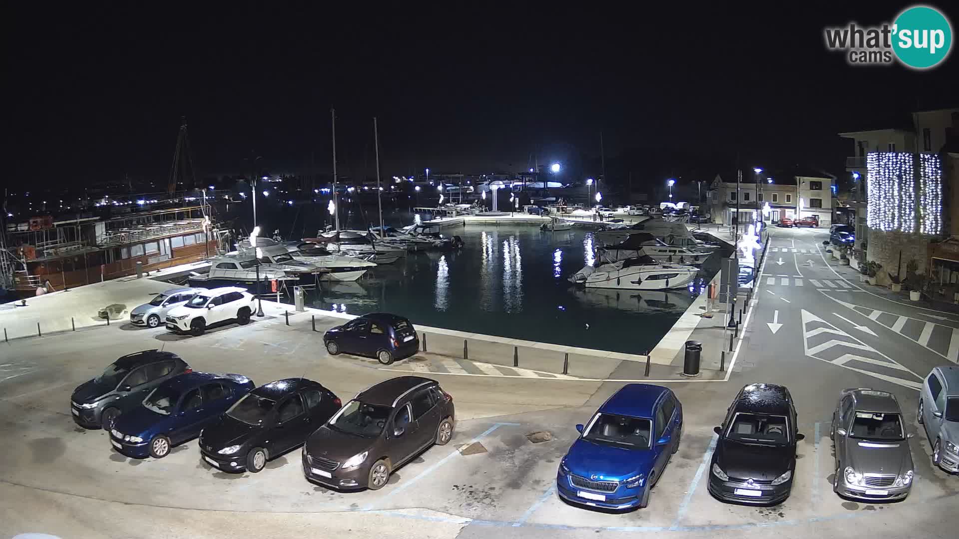 Novigrad | Porporela marina