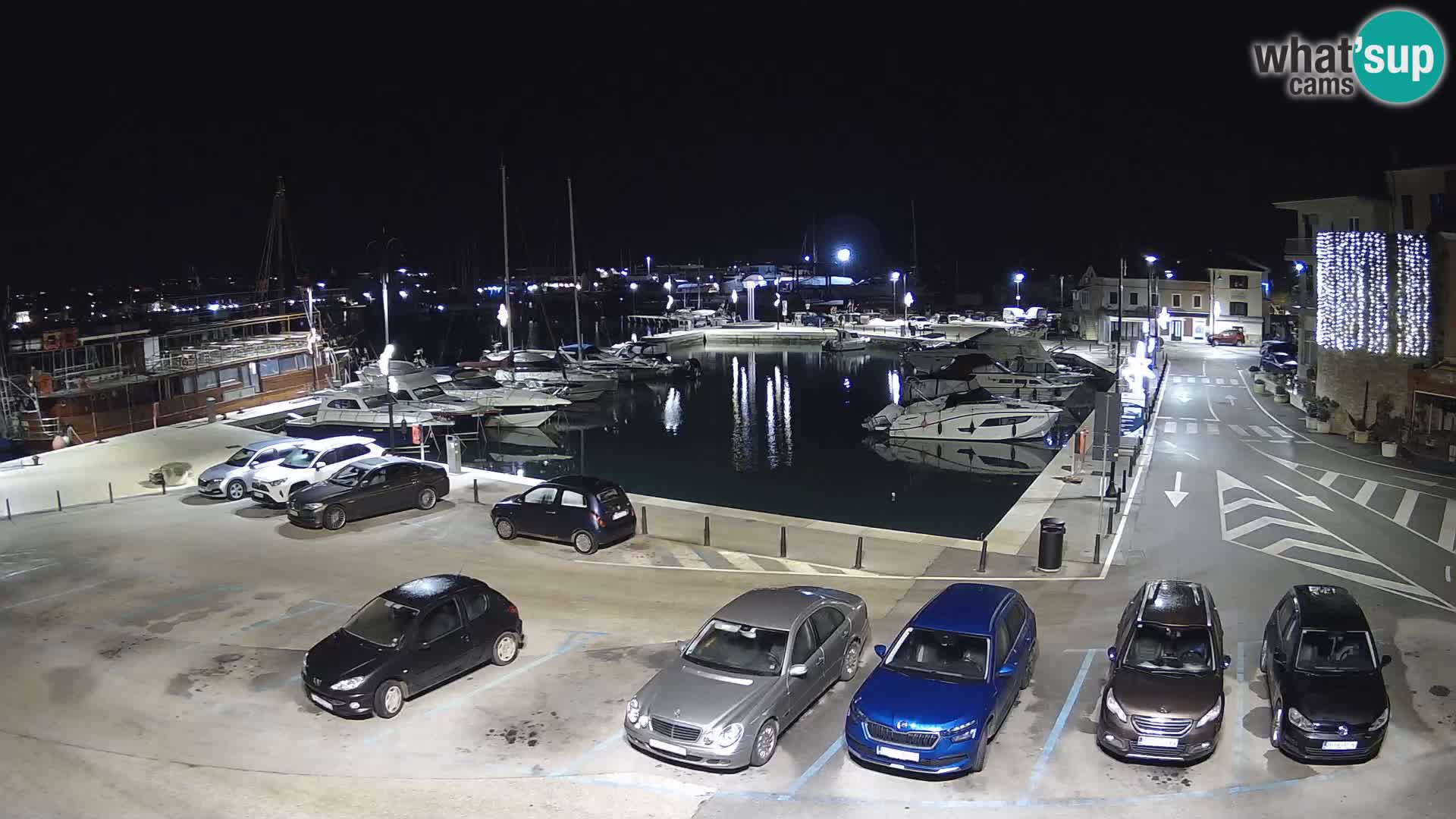 Novigrad | Porporela marina
