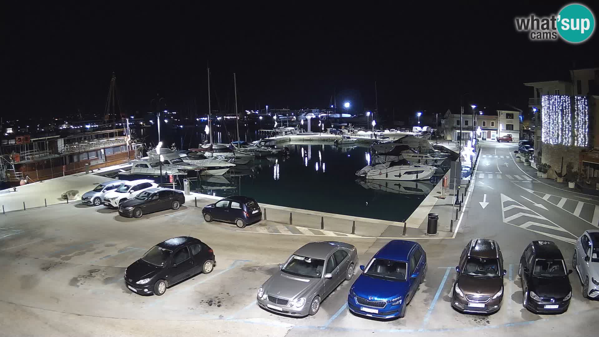 Novigrad | Porporela marina