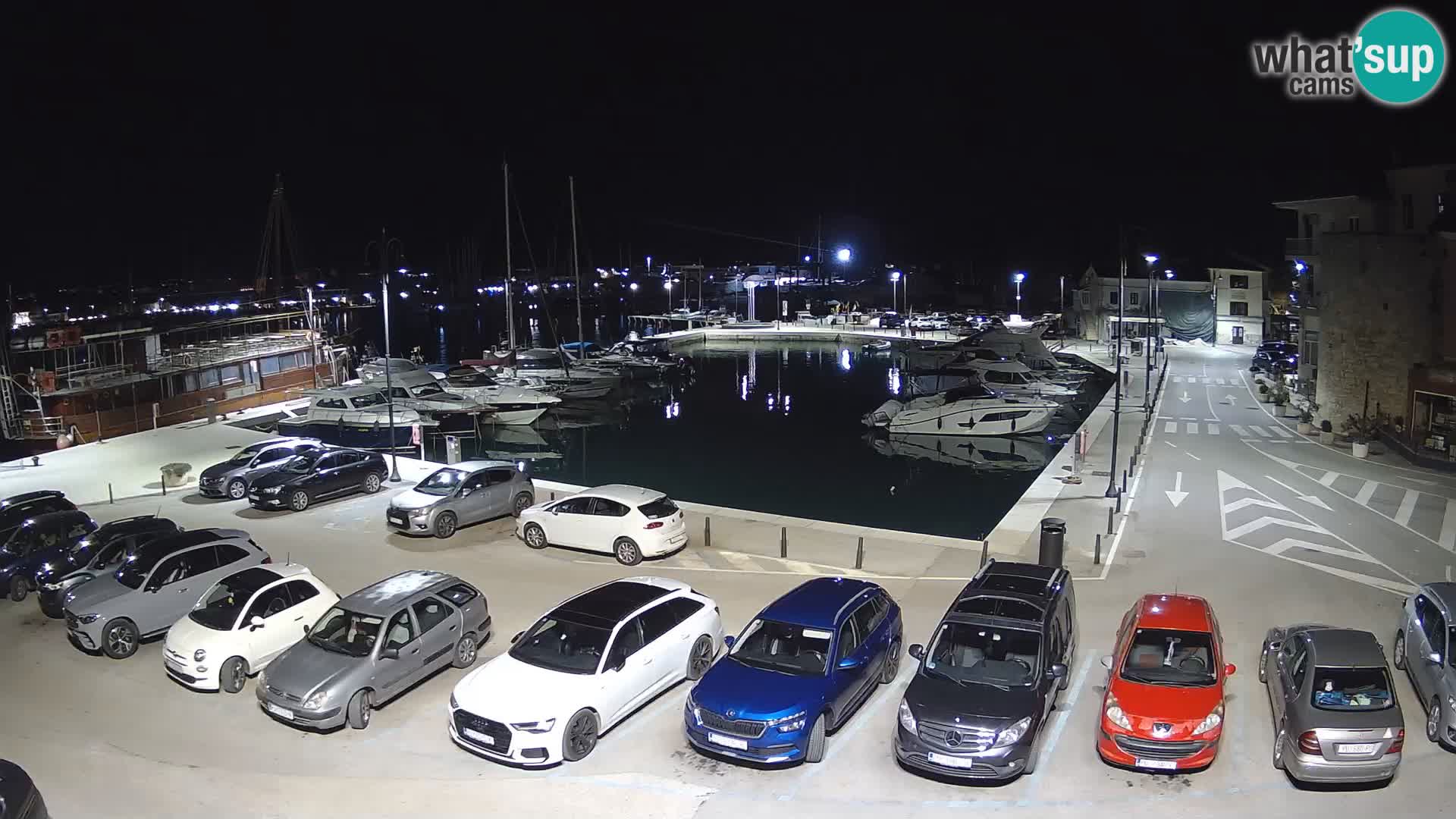 Novigrad | Porporela marina