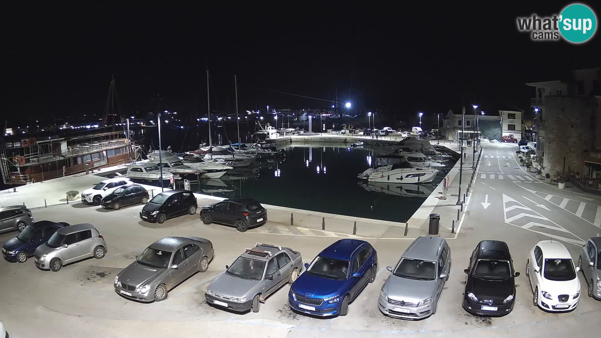 Novigrad | Porporela marina