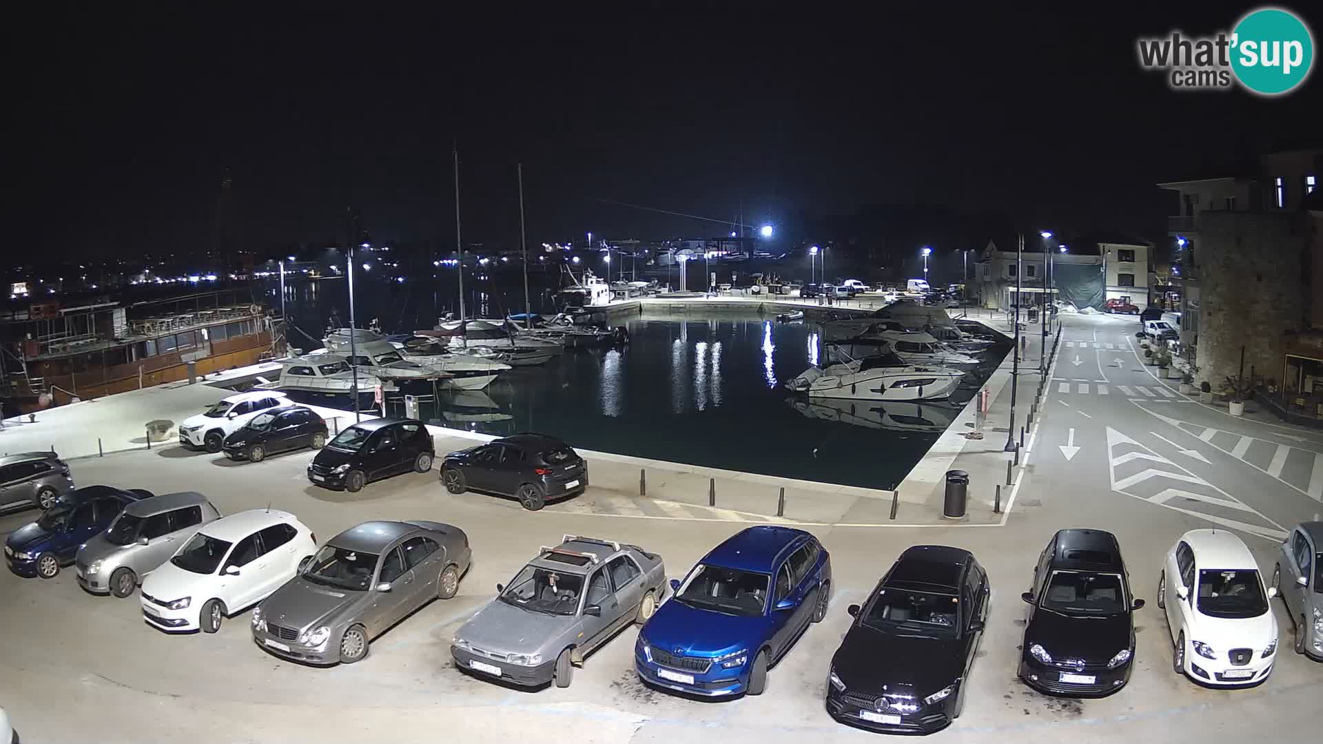 Novigrad | Porporela marina