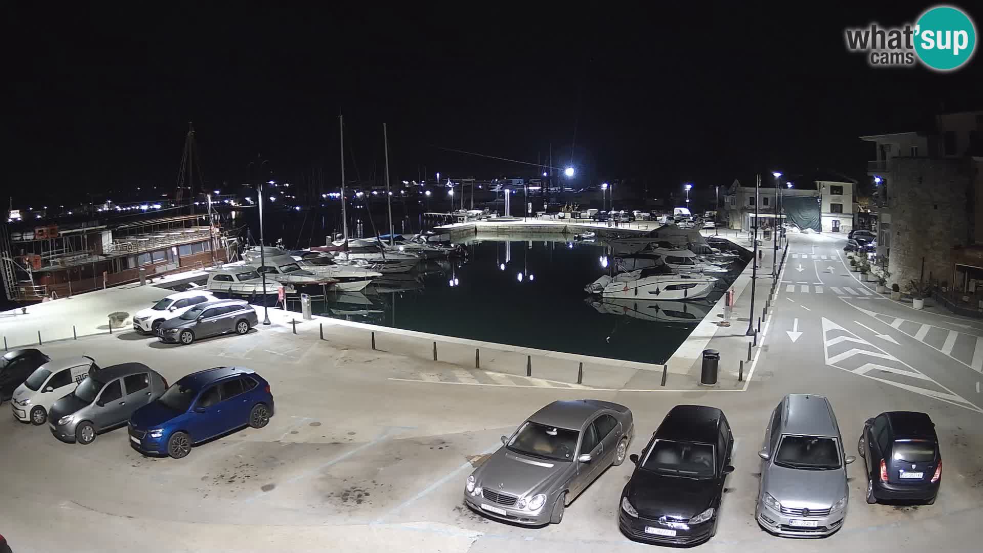 Novigrad | Porporela marina