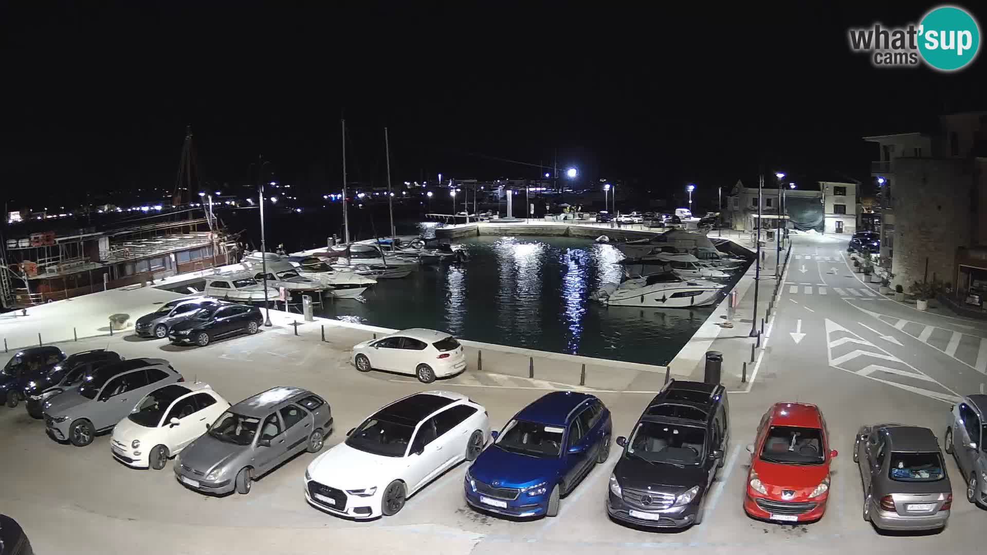 Novigrad | Porporela marina