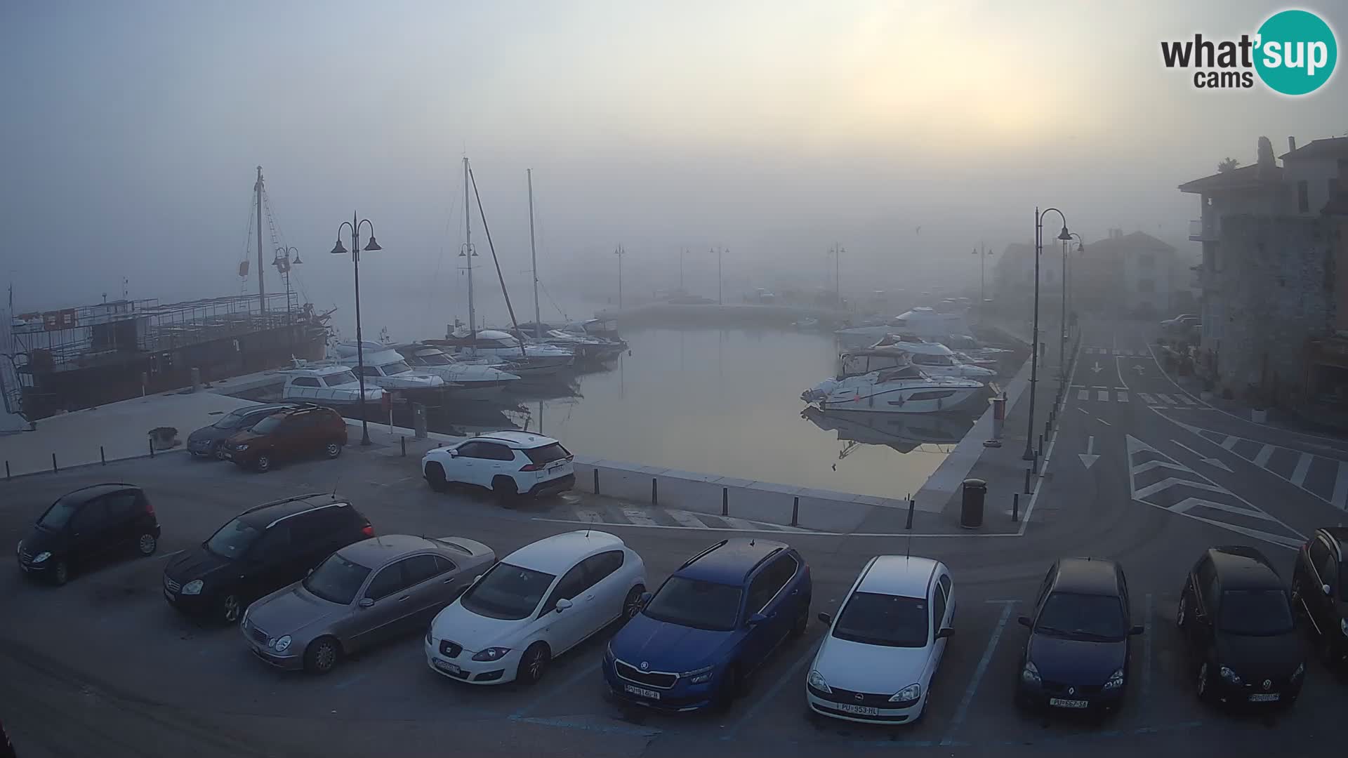 Novigrad | Porporela marina