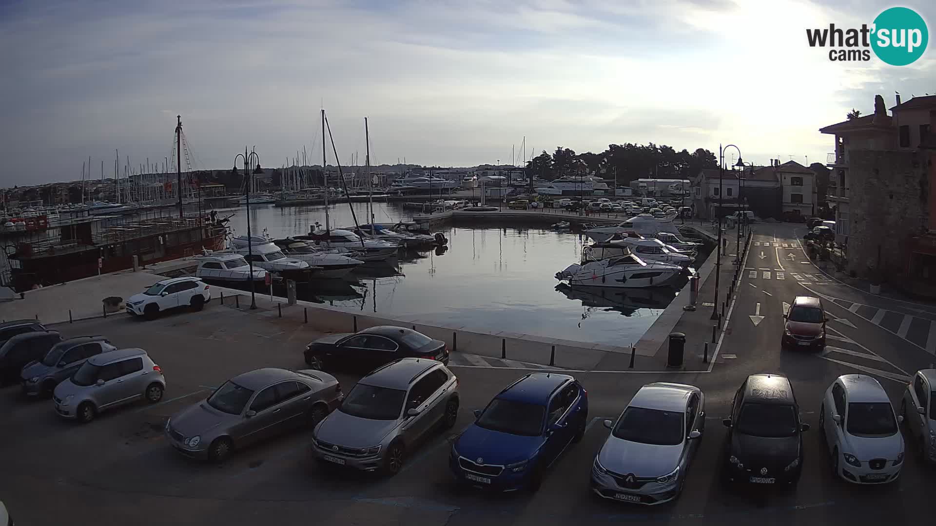 Novigrad | Porporela marina