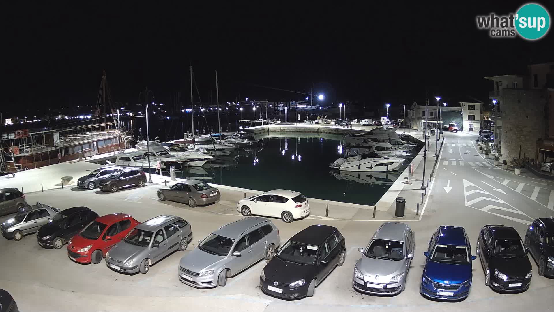 Novigrad | Porporela marina