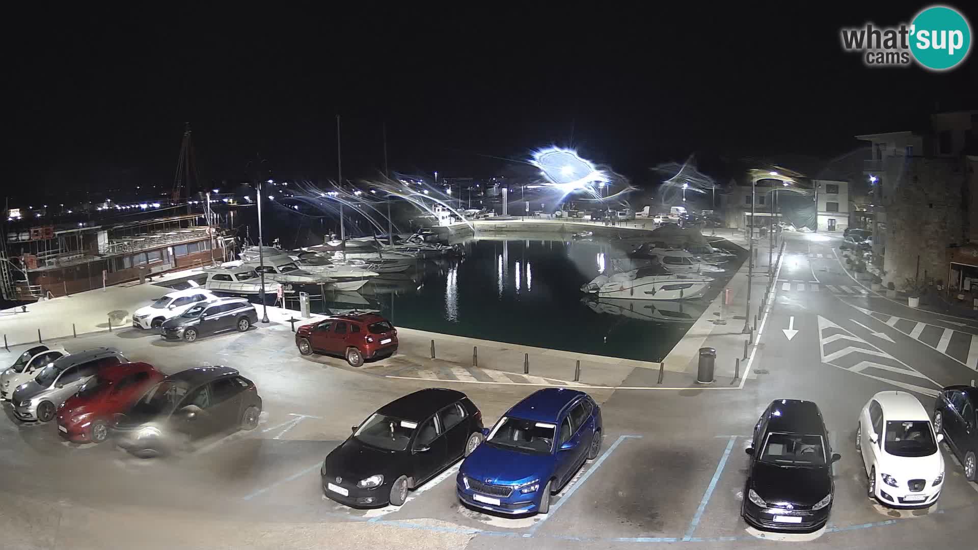 Novigrad | Porporela marina