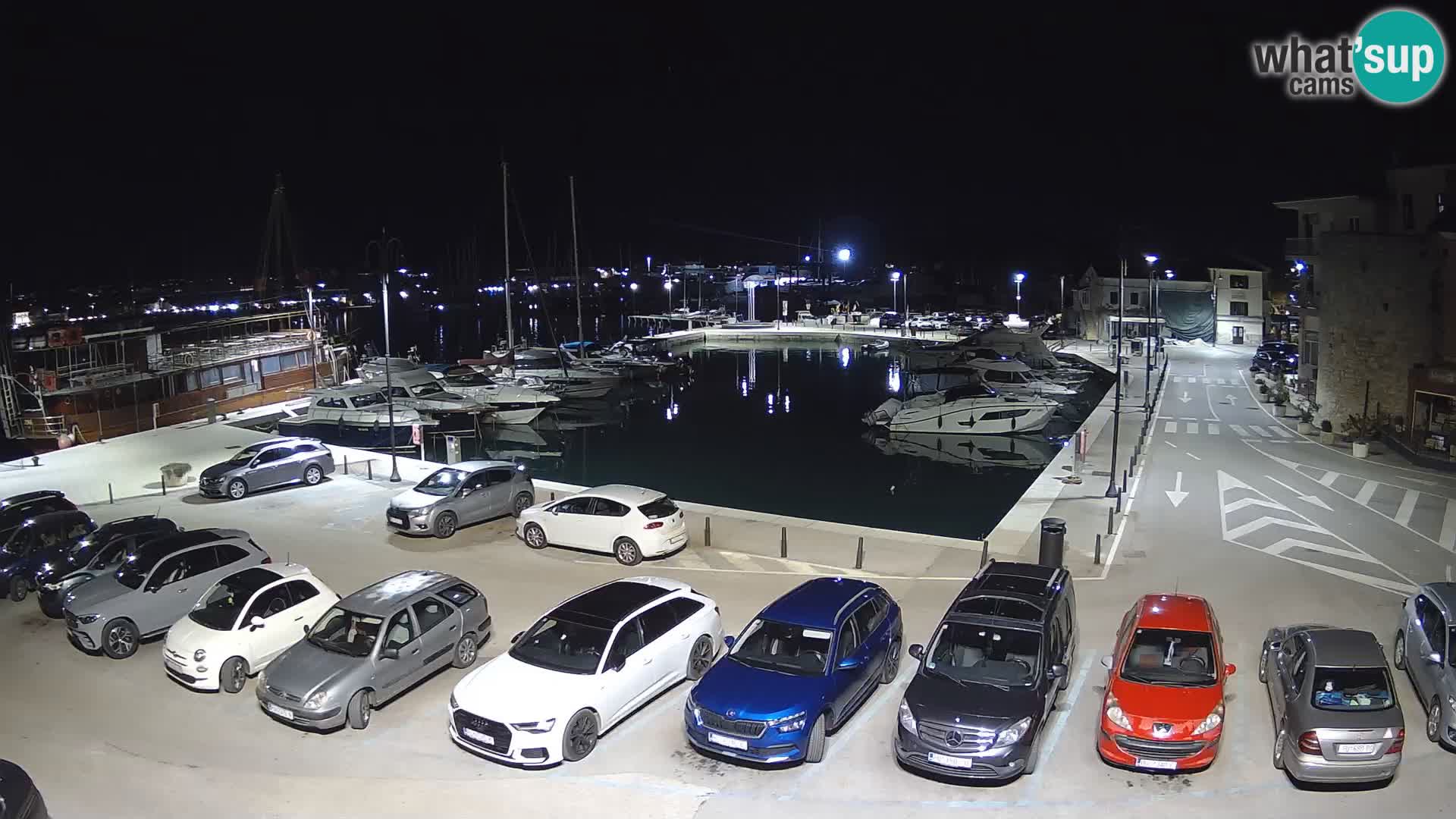 Novigrad | Porporela marina