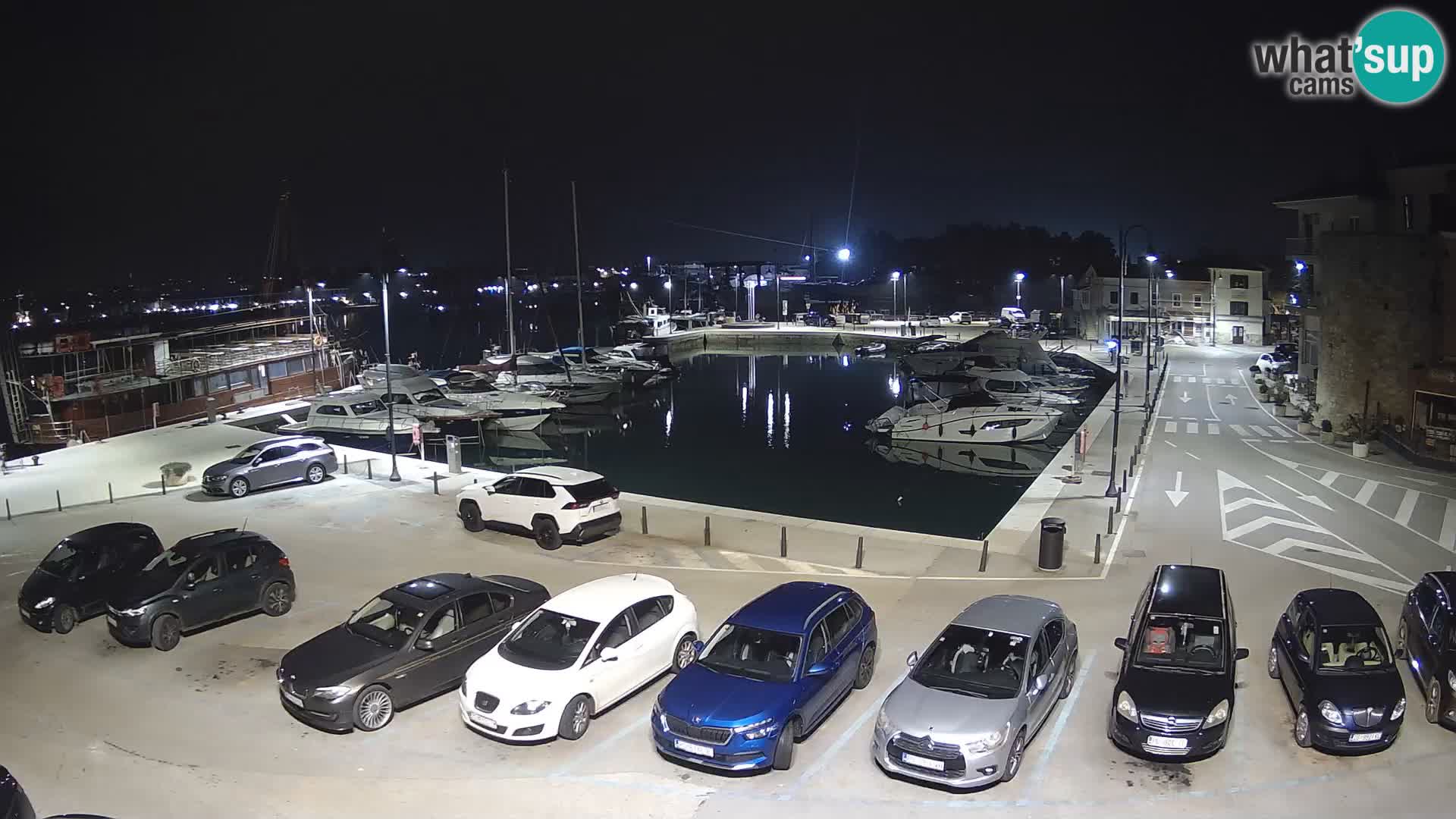 Novigrad | Porporela marina