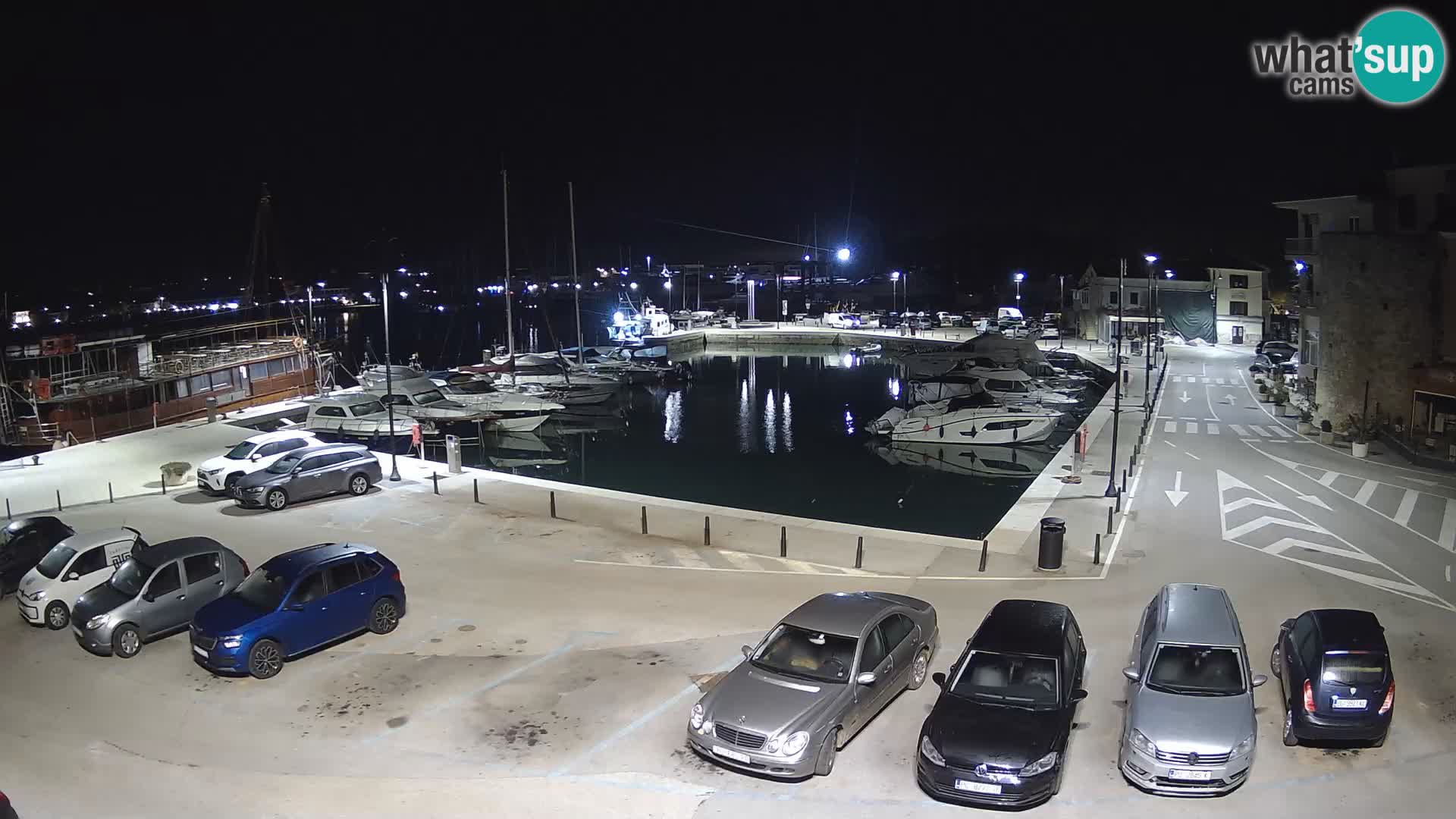 Novigrad | Porporela marina