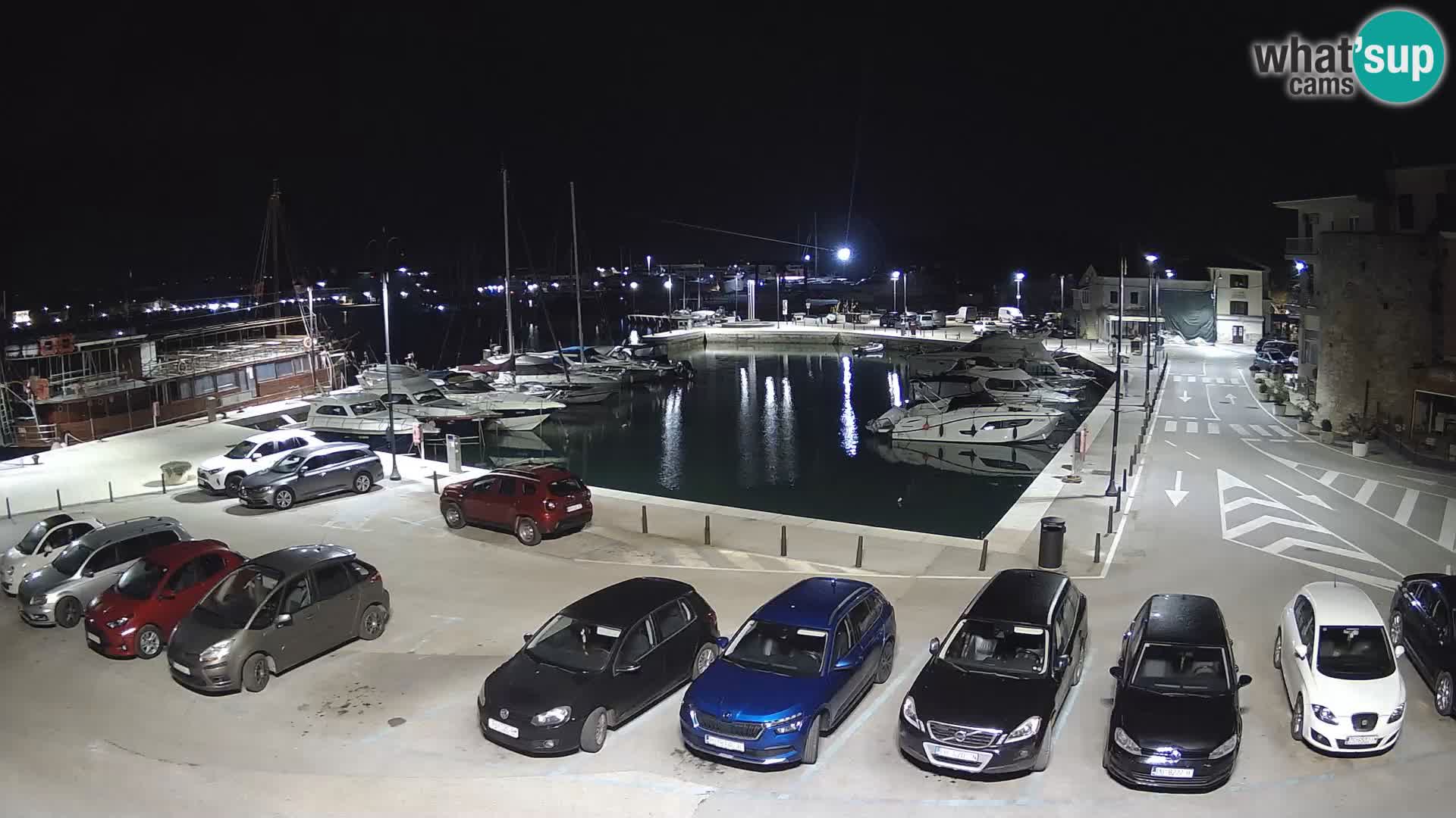 Novigrad | Porporela marina