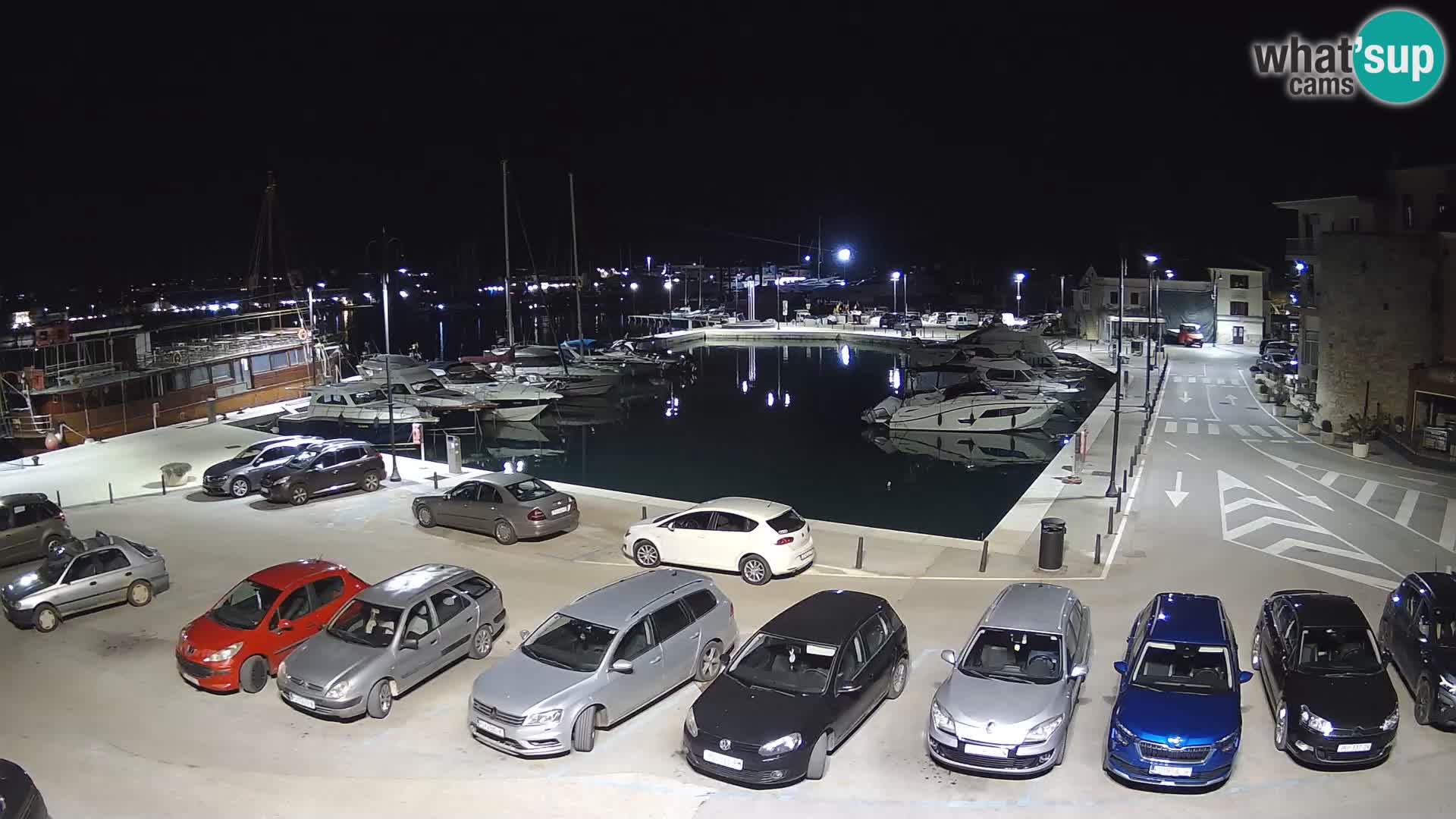 Novigrad | Porporela marina