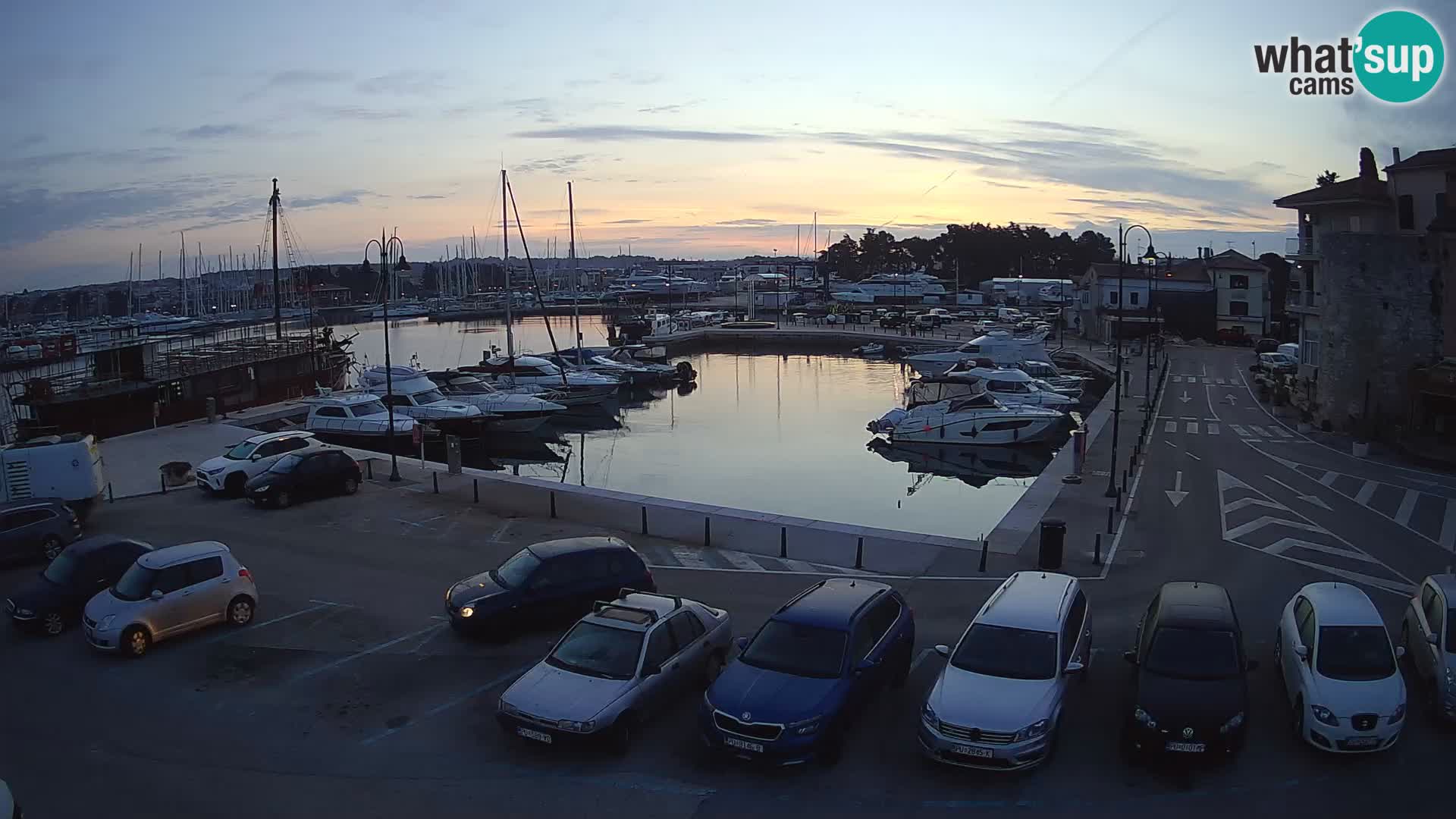 Novigrad | Porporela marina
