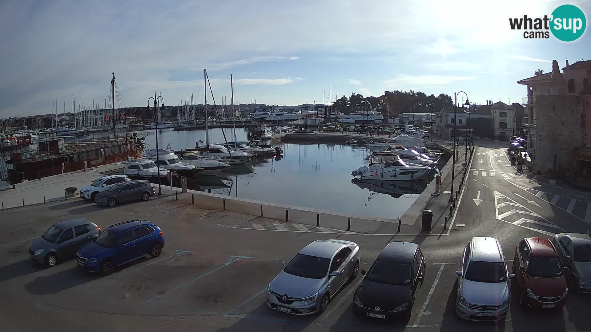 Novigrad | Porporela marina