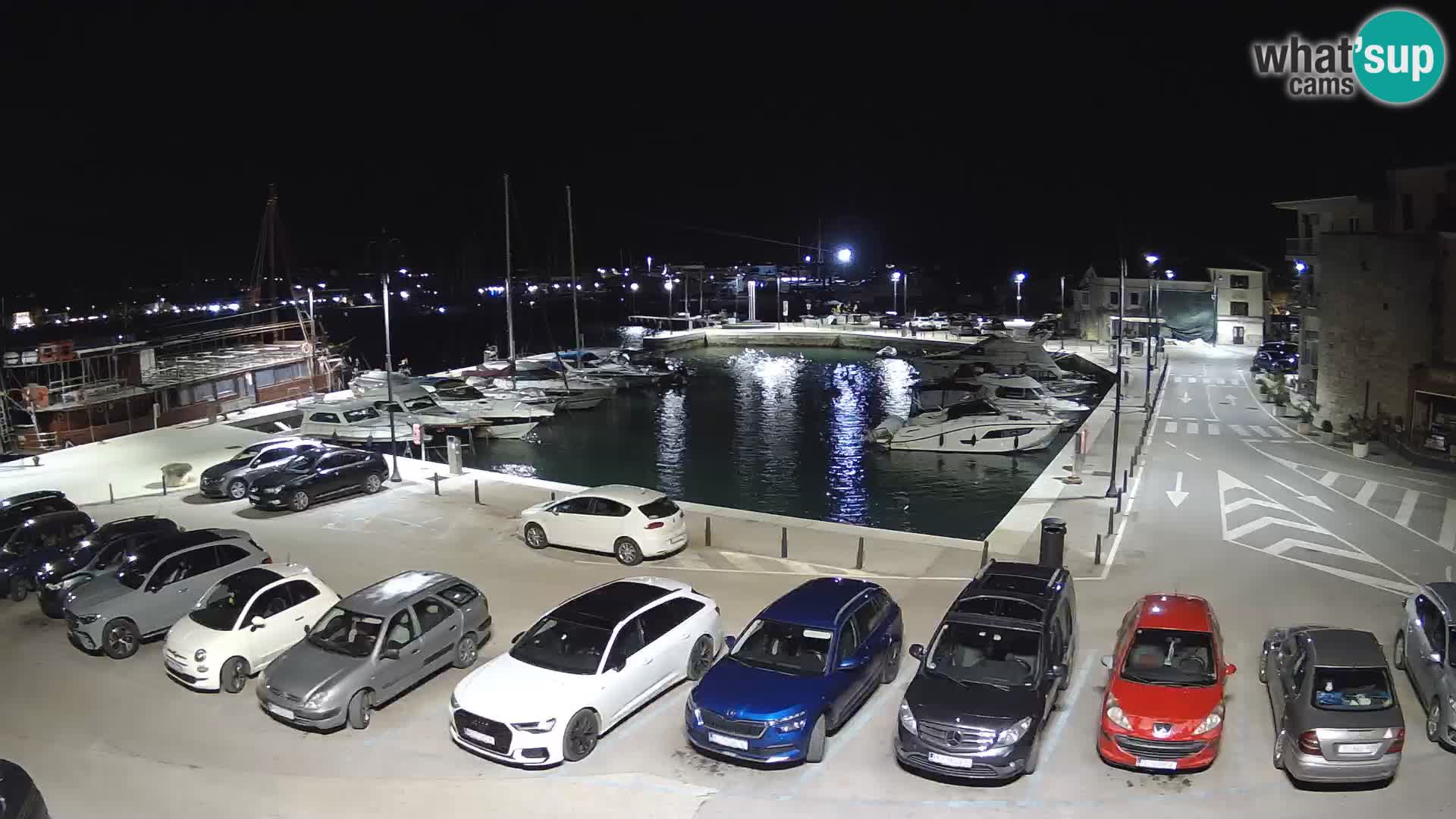 Novigrad | Porporela marina