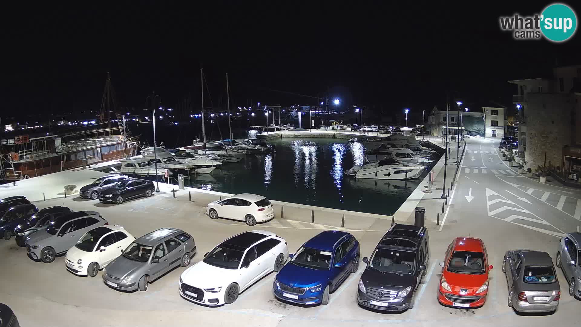 Novigrad | Porporela marina