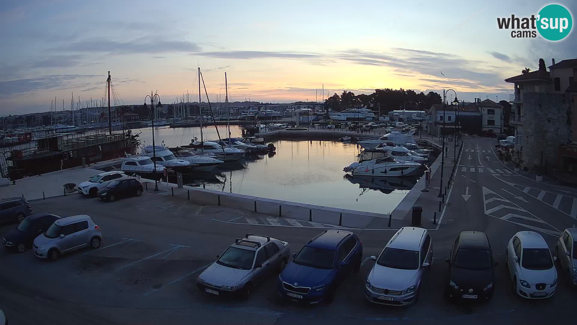 Novigrad | Porporela marina
