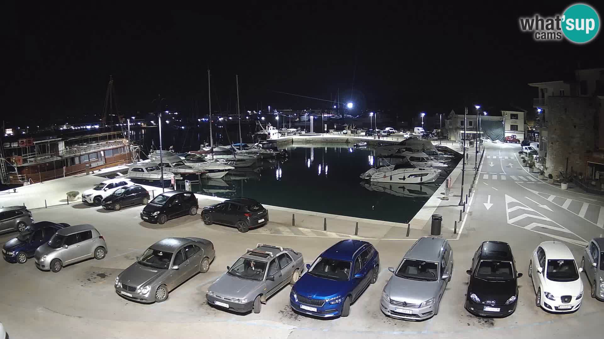 Novigrad | Porporela marina