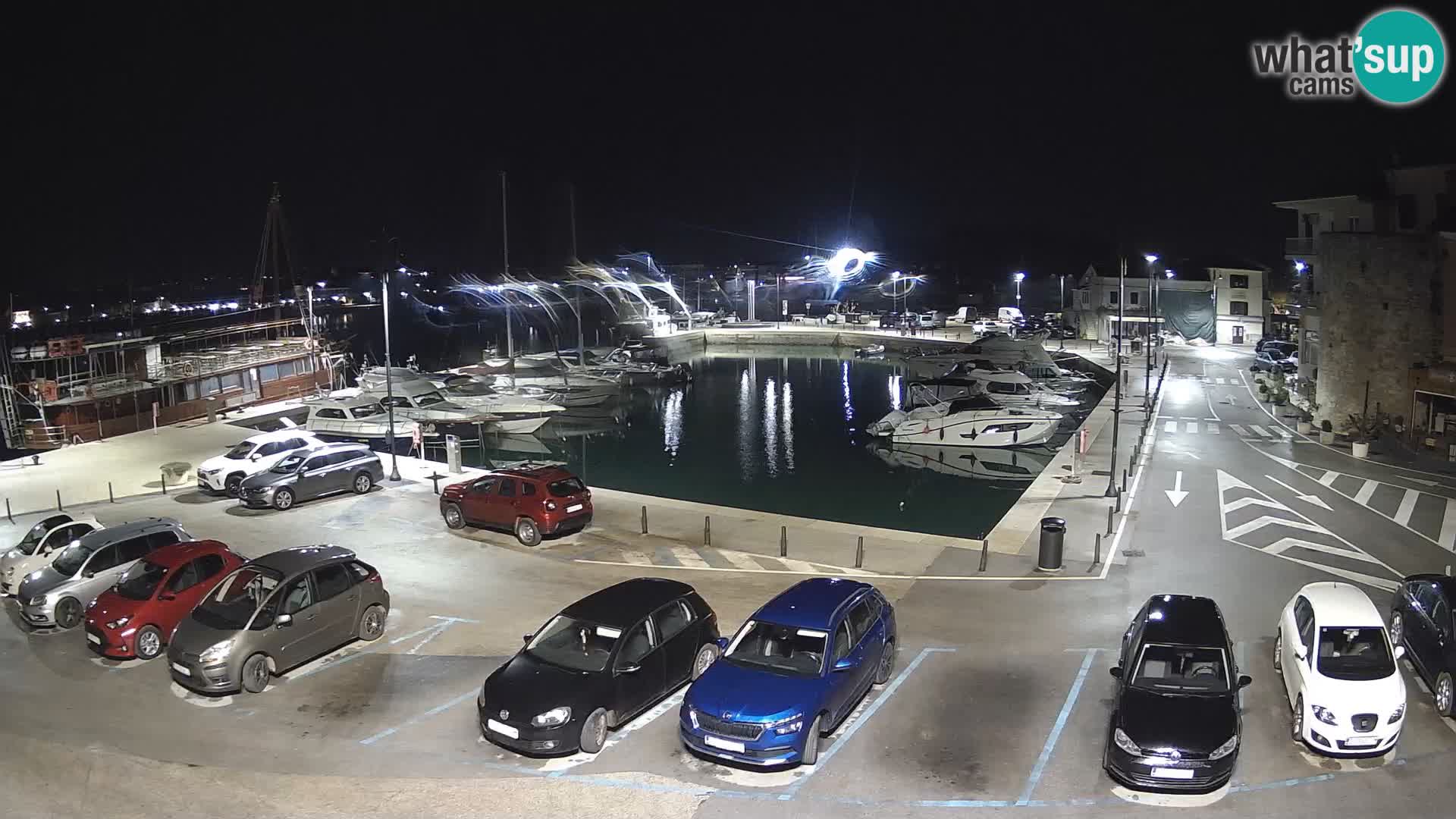 Novigrad | Porporela marina