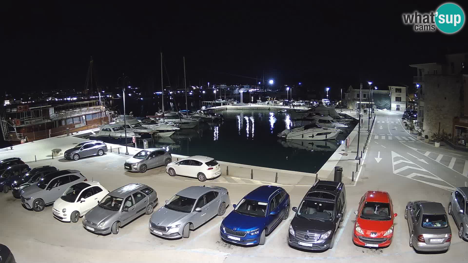 Novigrad | Porporela marina