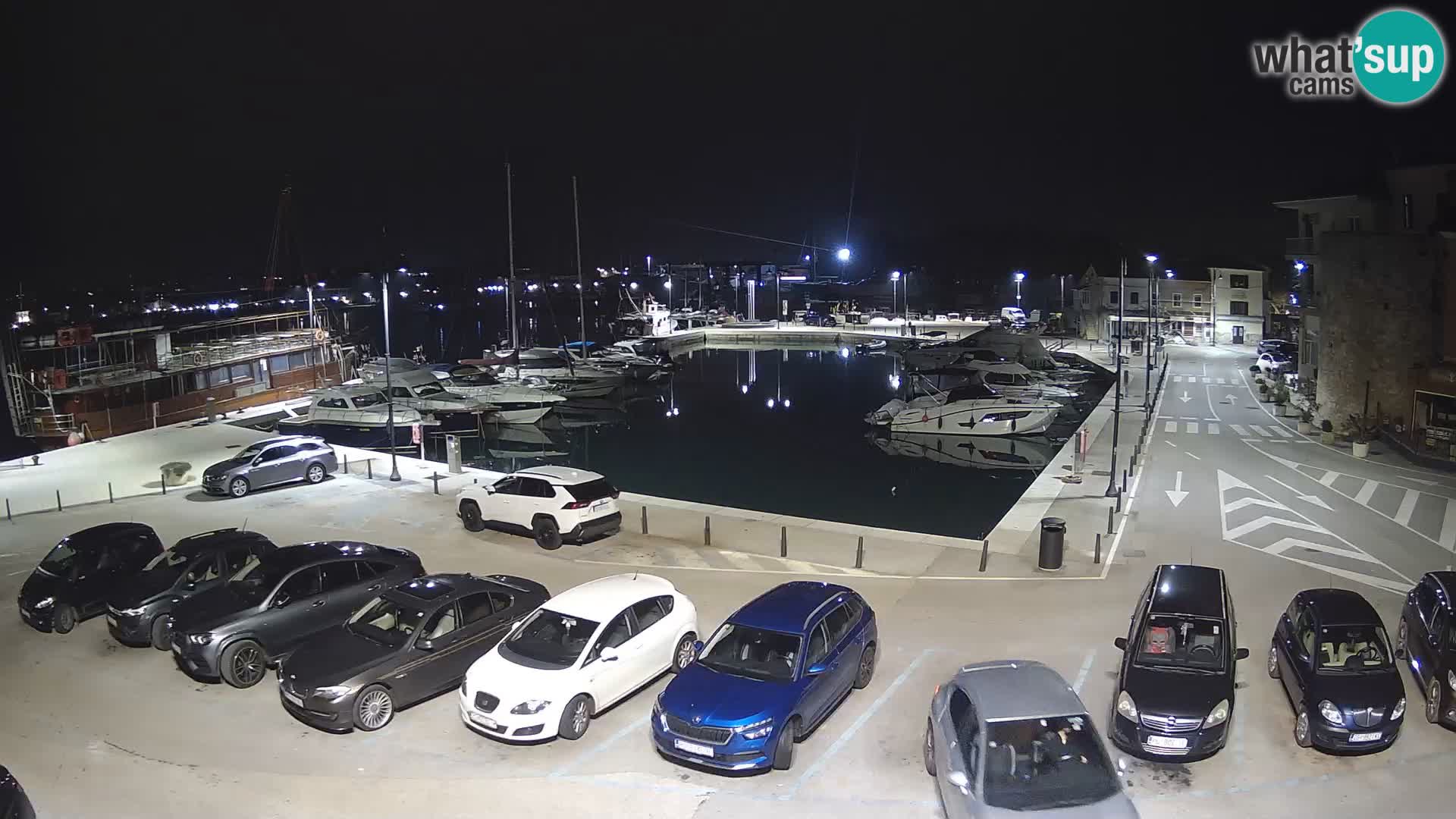 Novigrad | Porporela marina