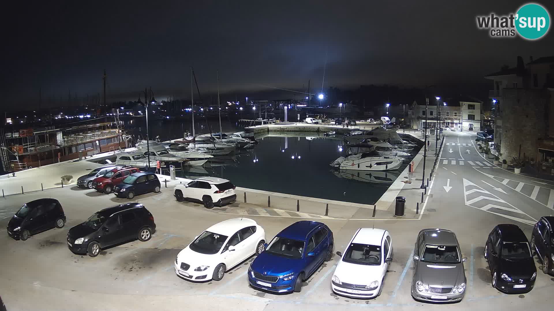 Novigrad | Porporela marina