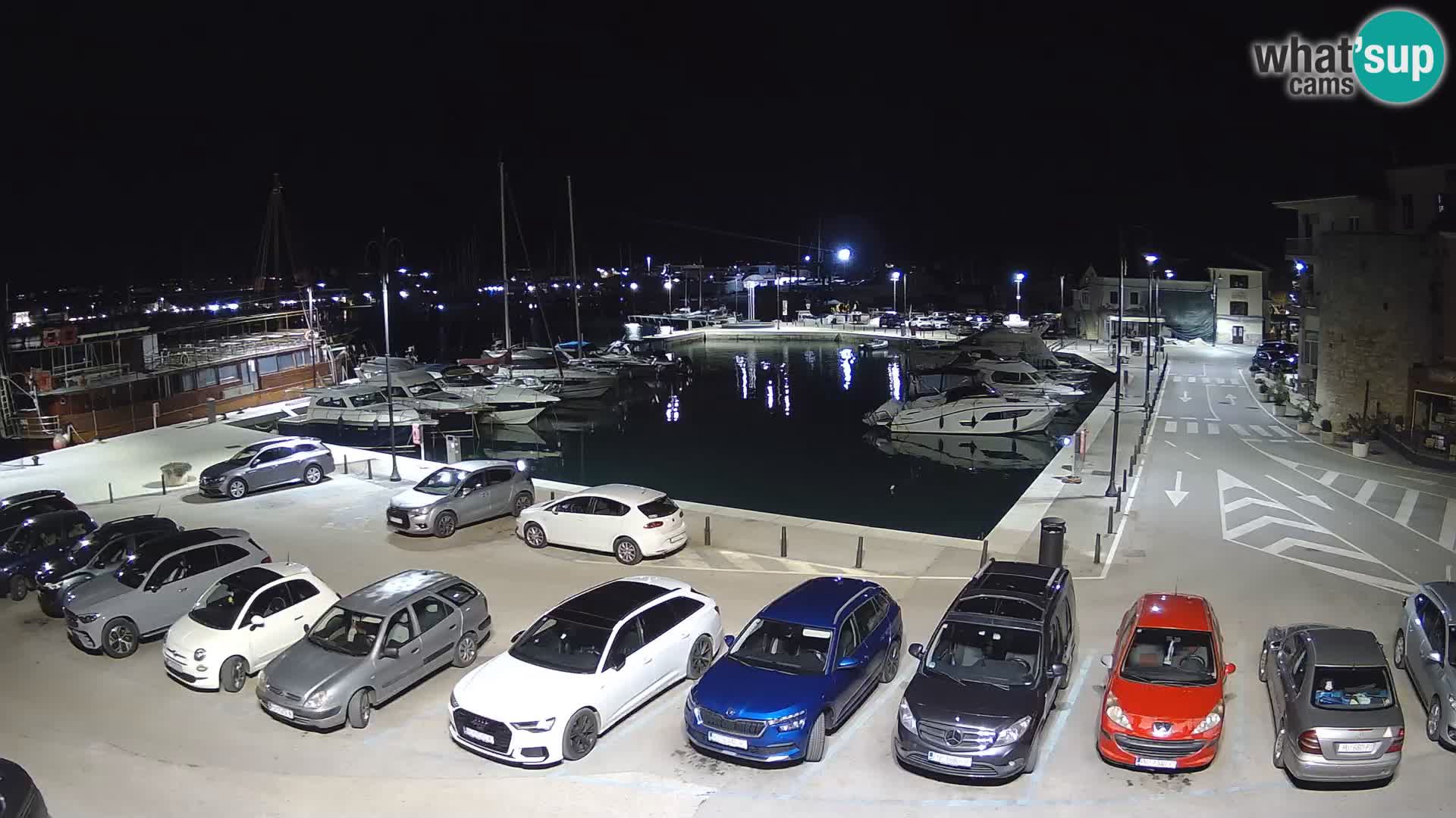 Novigrad | Porporela marina