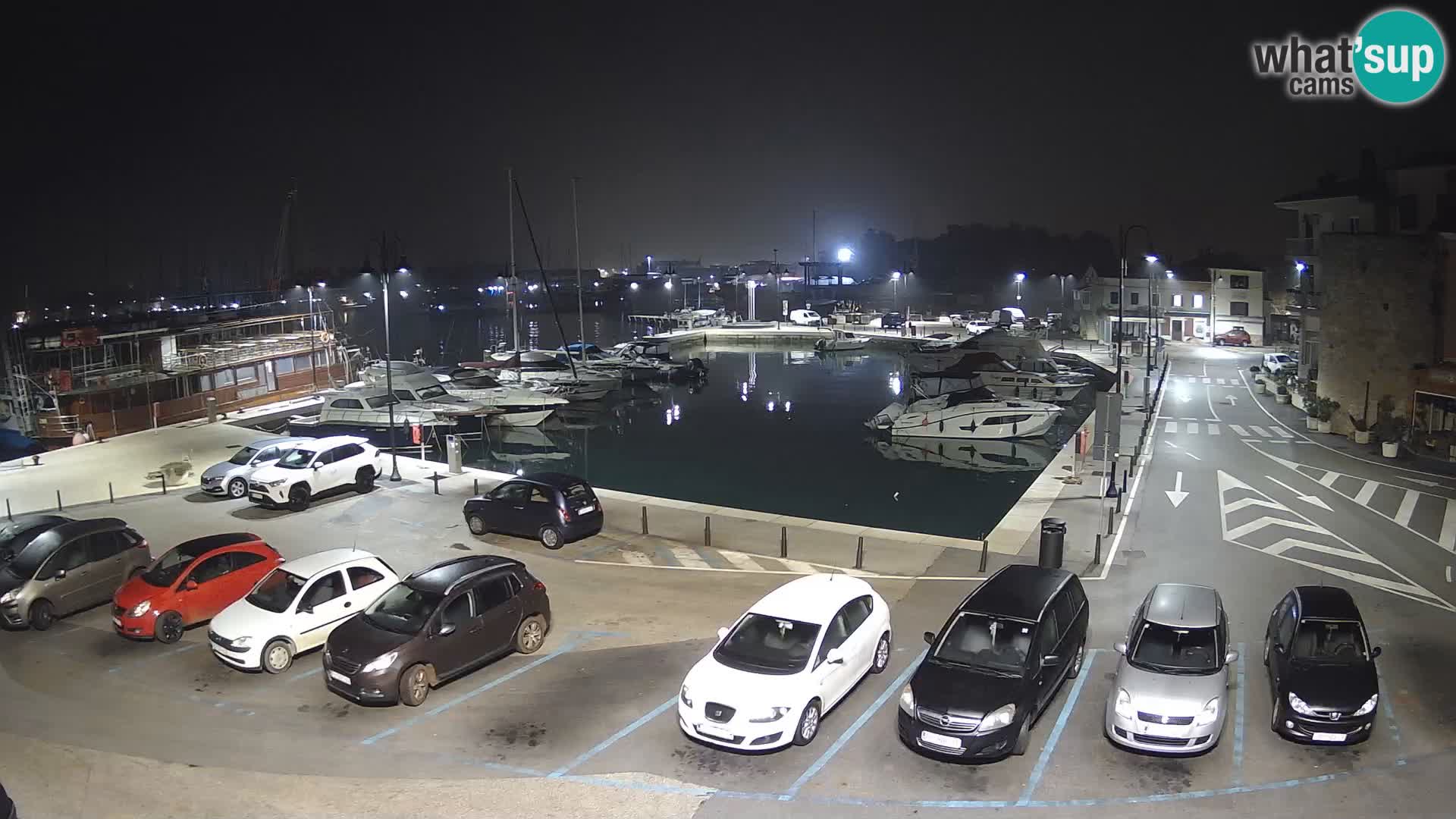 Novigrad | Porporela marina