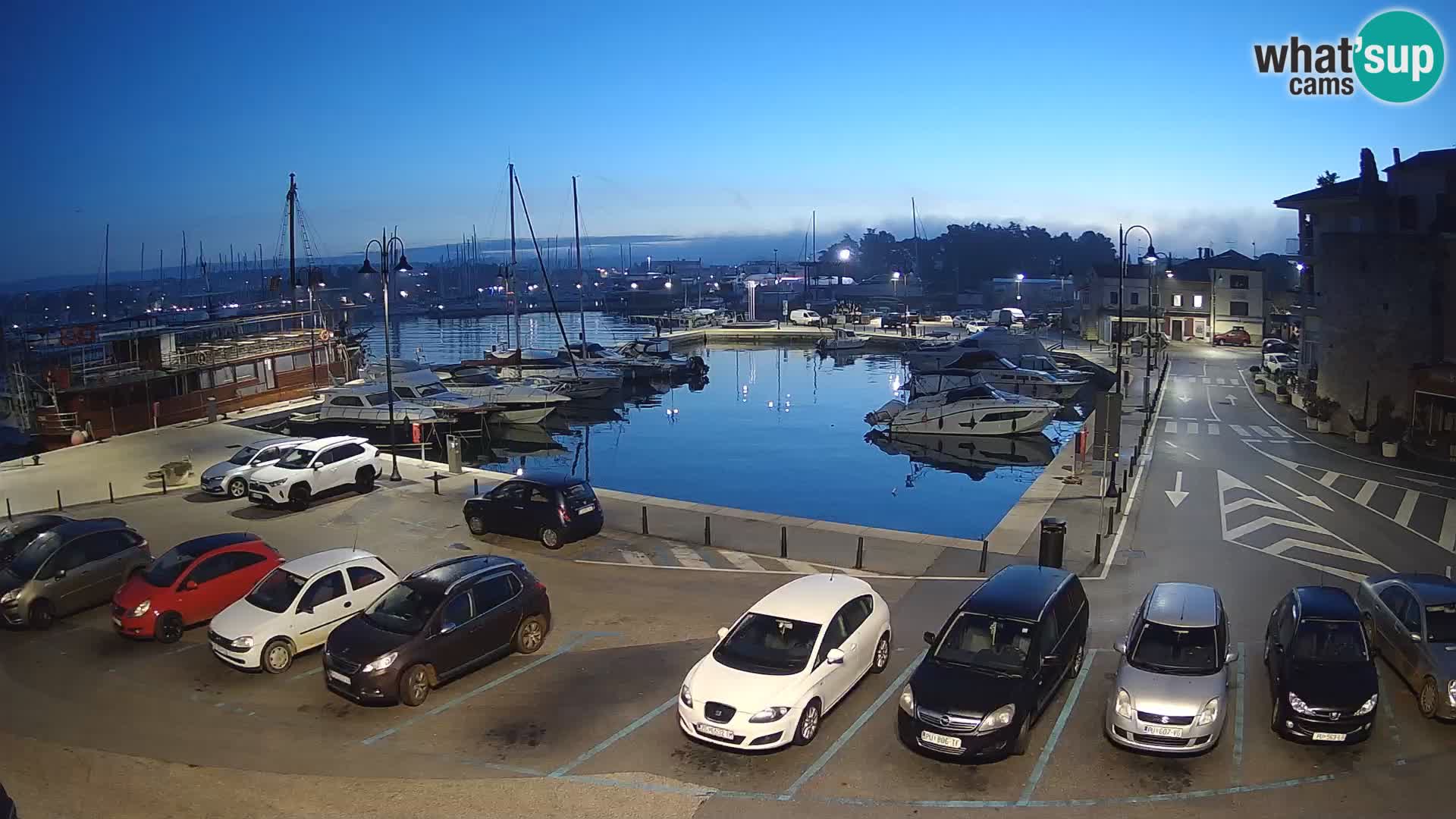 Novigrad | Porporela marina