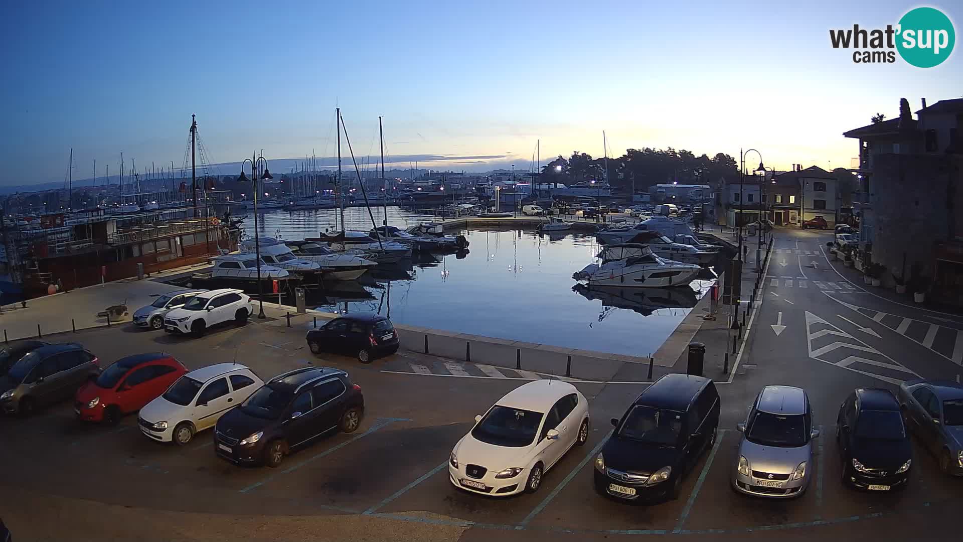 Novigrad | Porporela marina