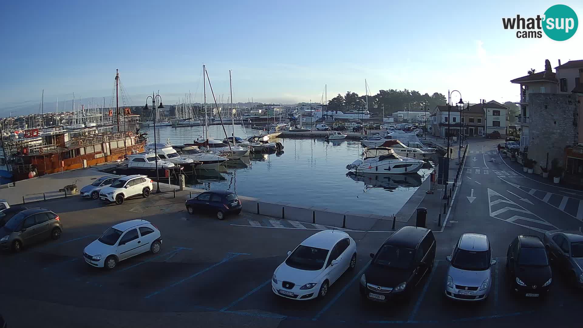 Novigrad | Porporela marina