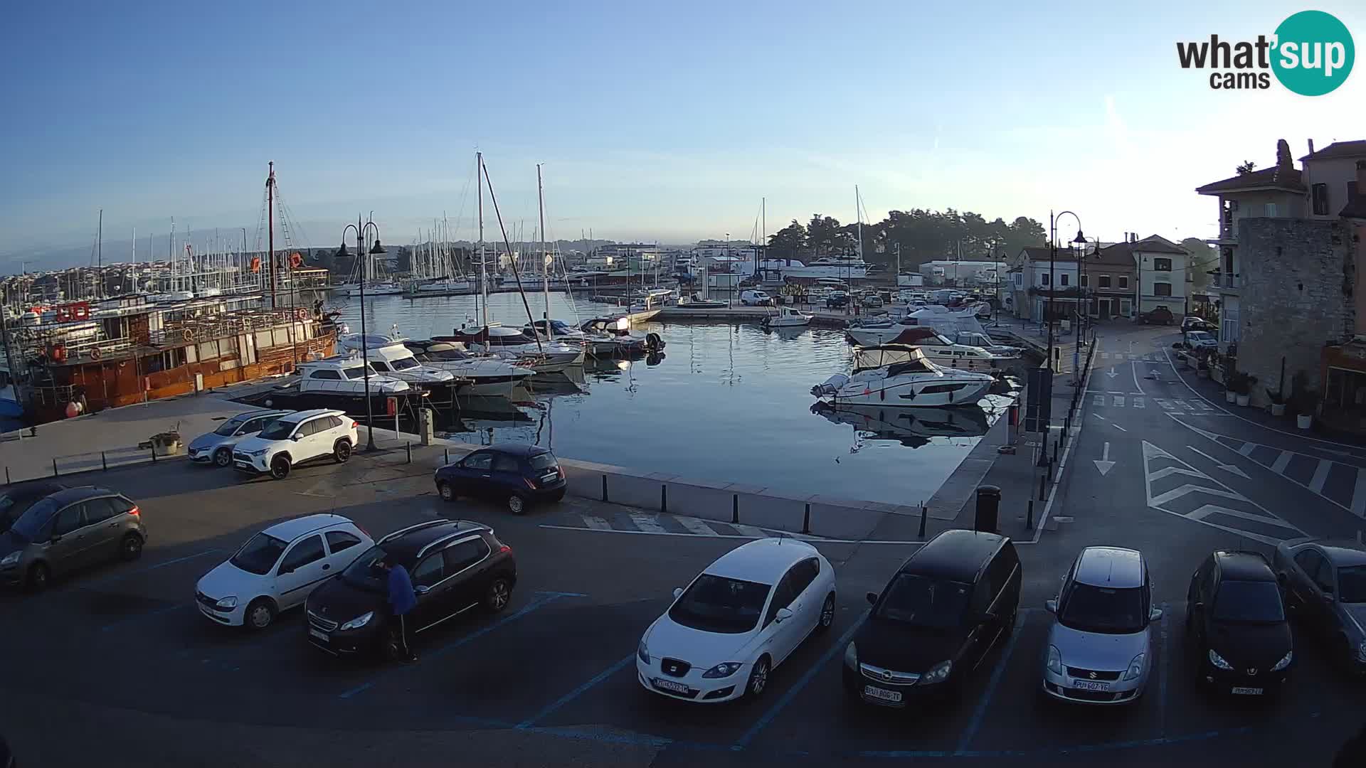 Novigrad | Porporela marina