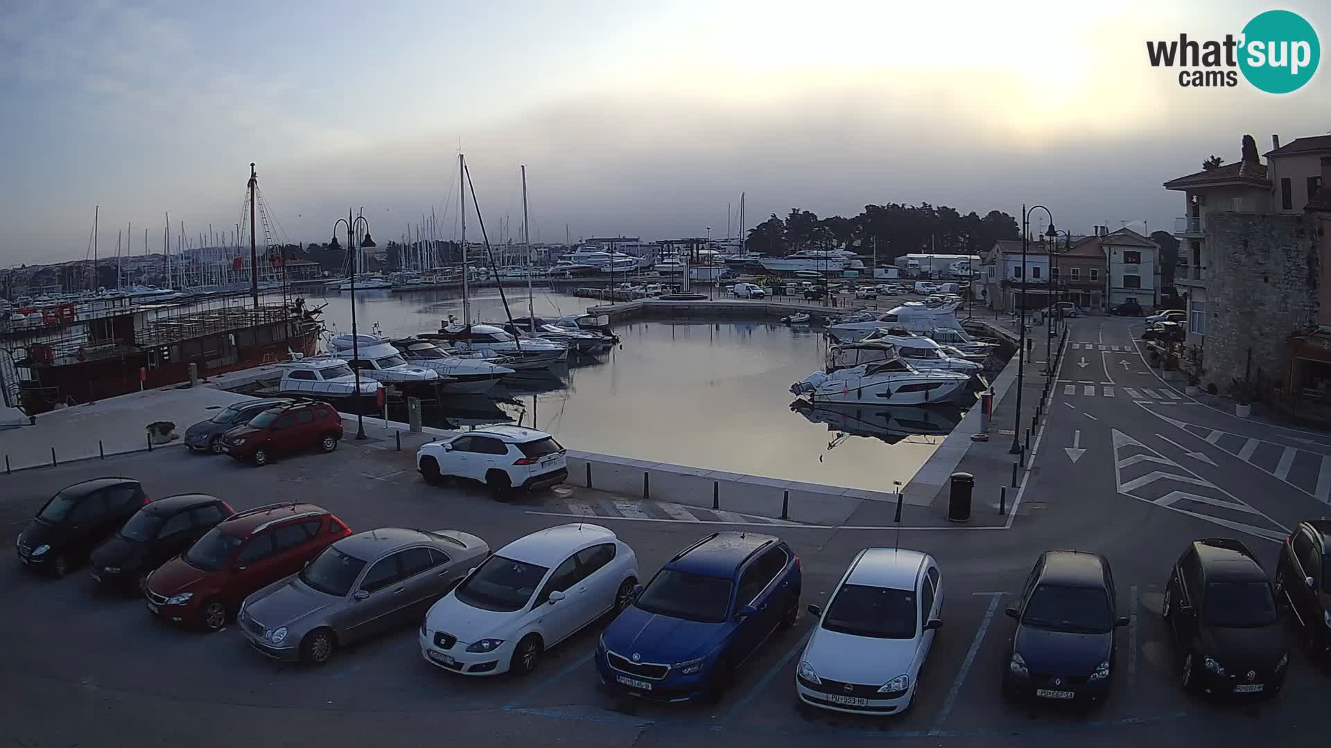Novigrad | Porporela marina