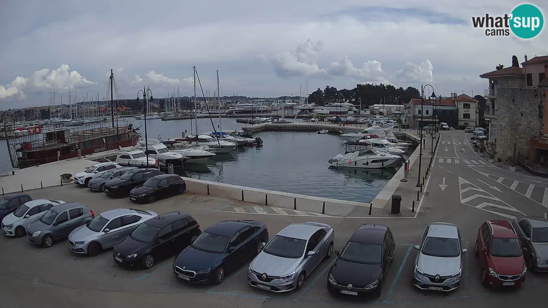 Novigrad | Porporela marina