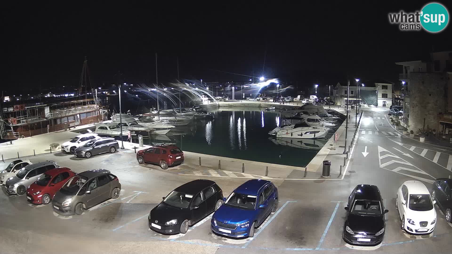 Novigrad | Porporela marina