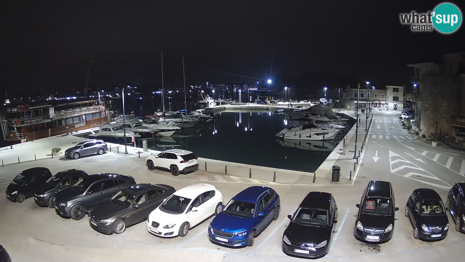 Novigrad | Porporela marina