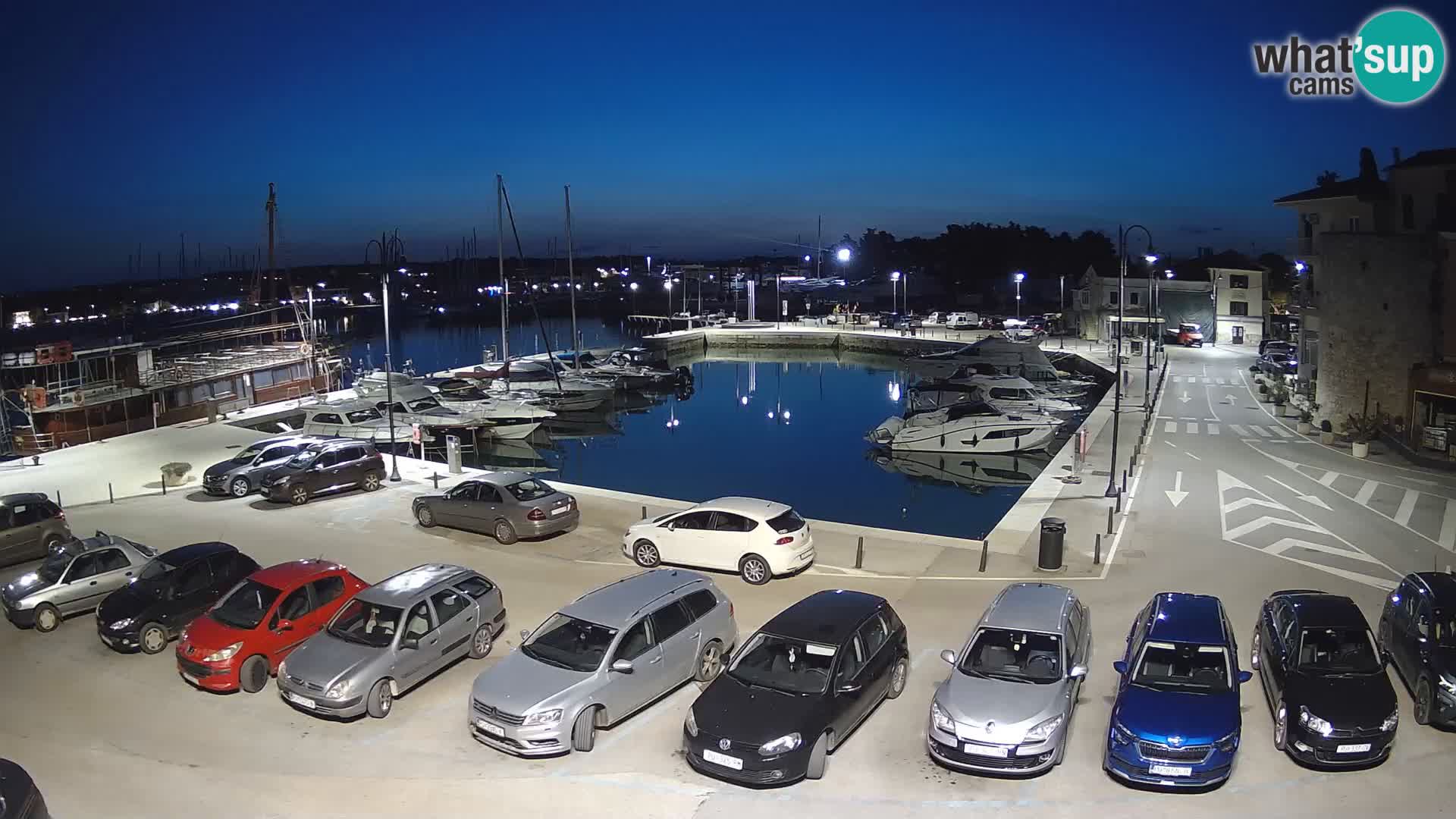 Novigrad | Porporela marina