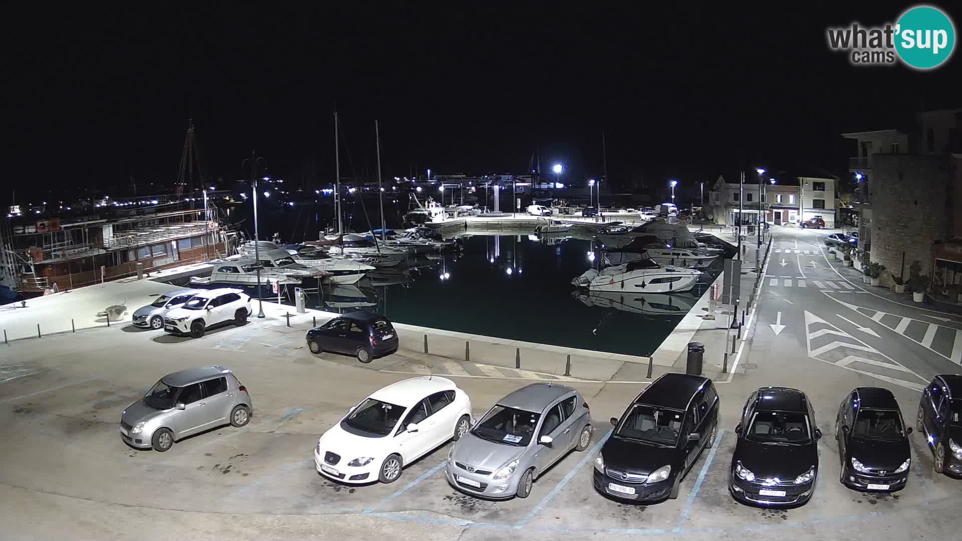 Novigrad | Porporela marina